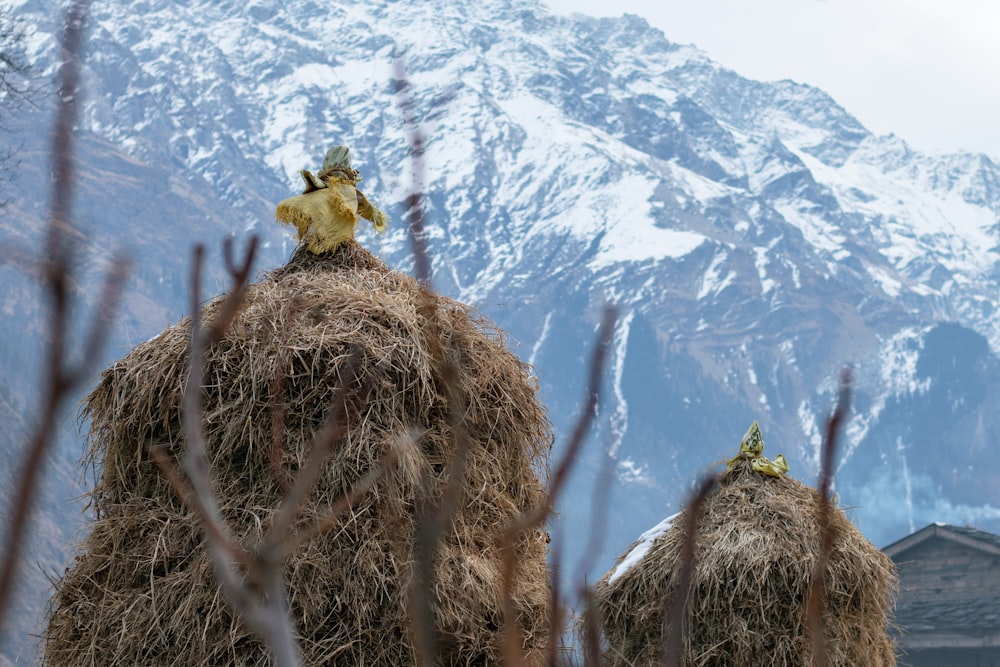 a pile of hay with a mountain in the background