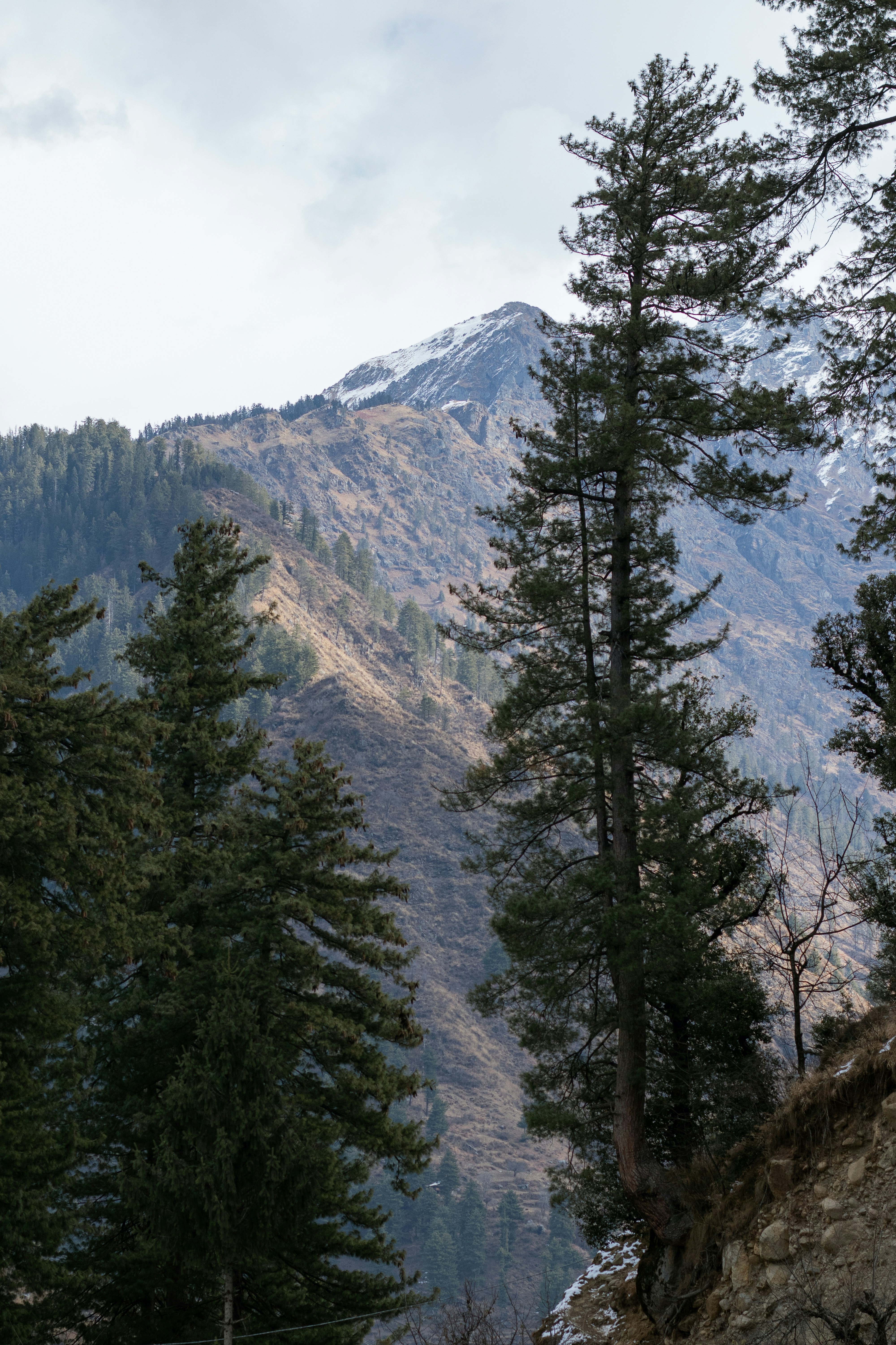 Photo by countingframez