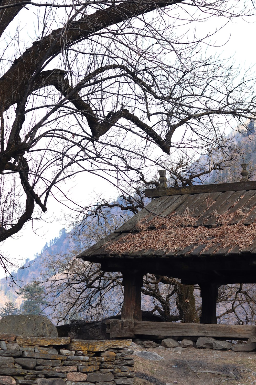 a stone wall and a small building with a tree in the background