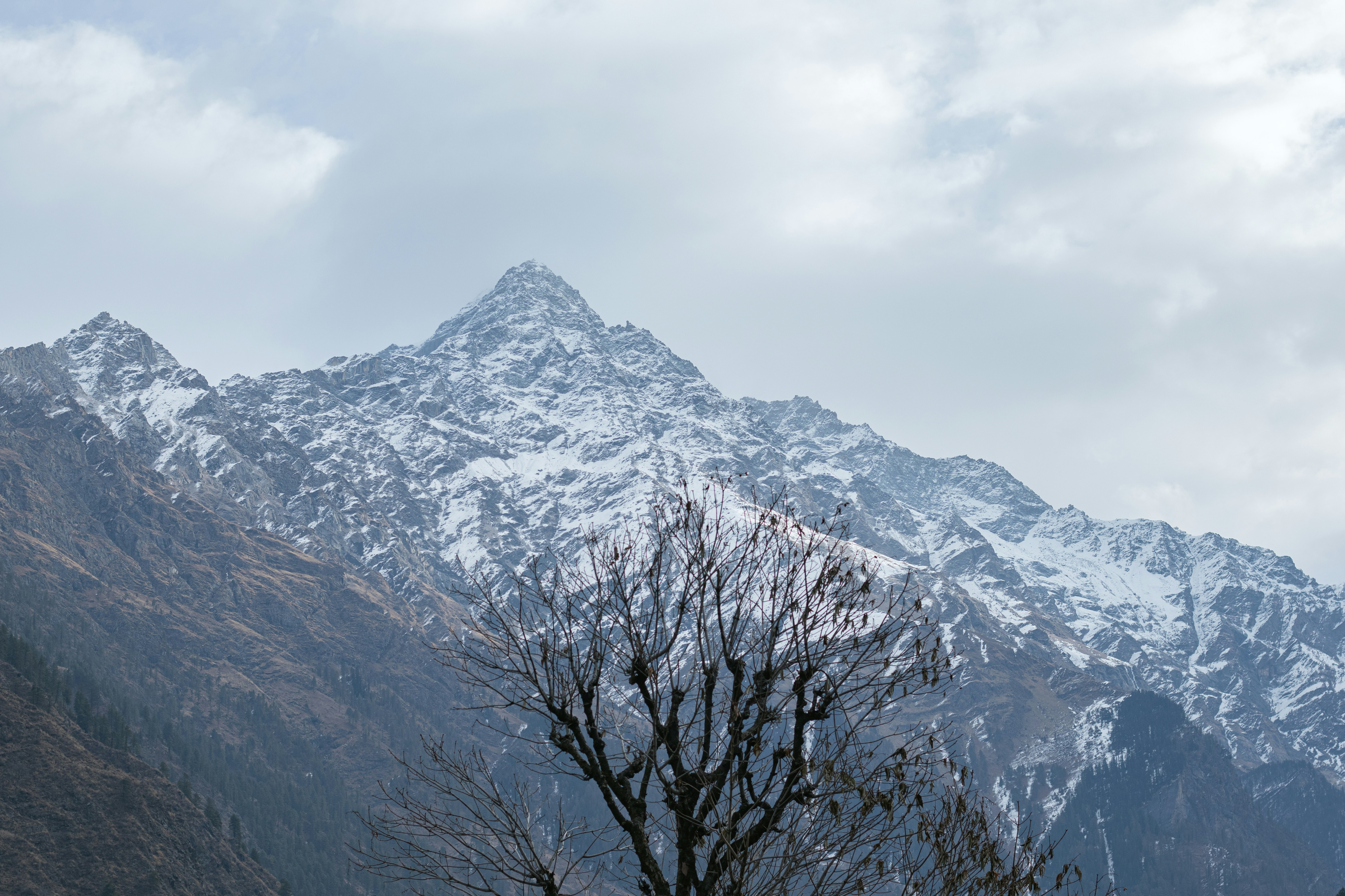 Photo by countingframez