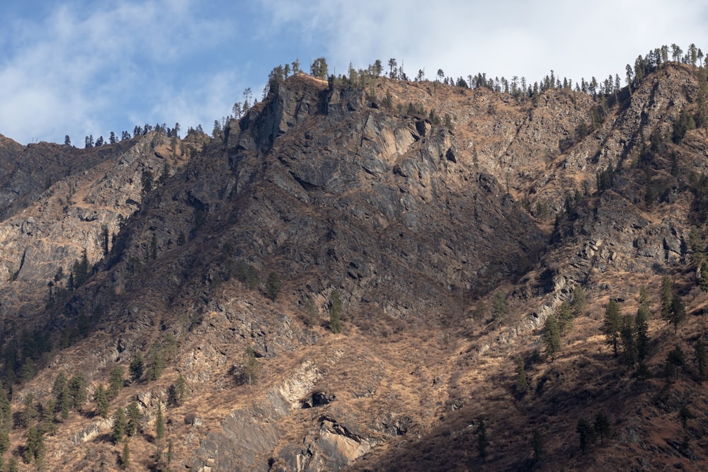 a very tall mountain with some trees on top of it