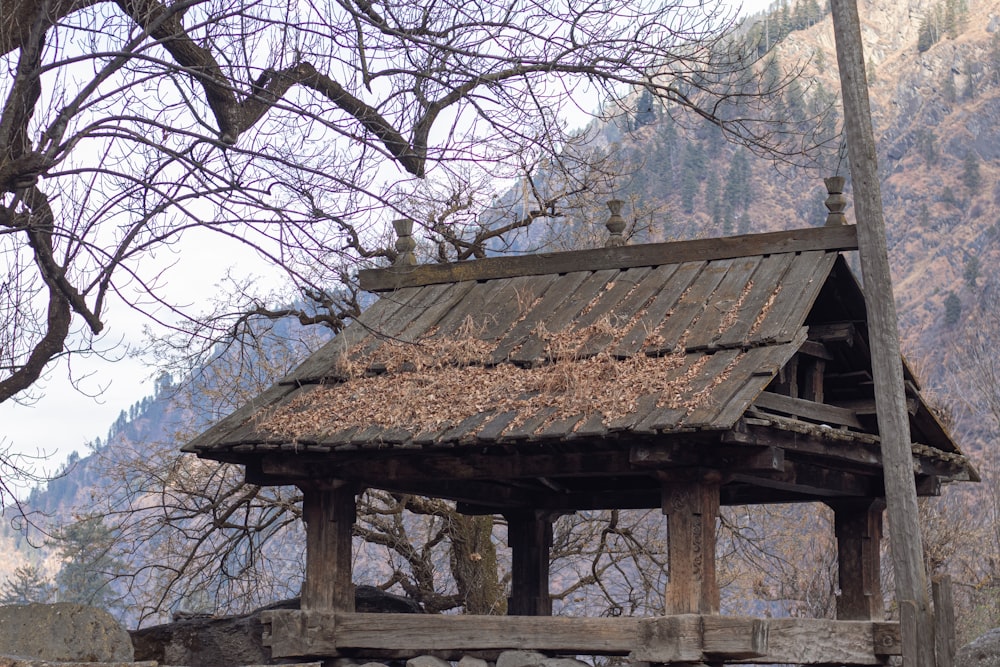 a small wooden structure with a tree in the background