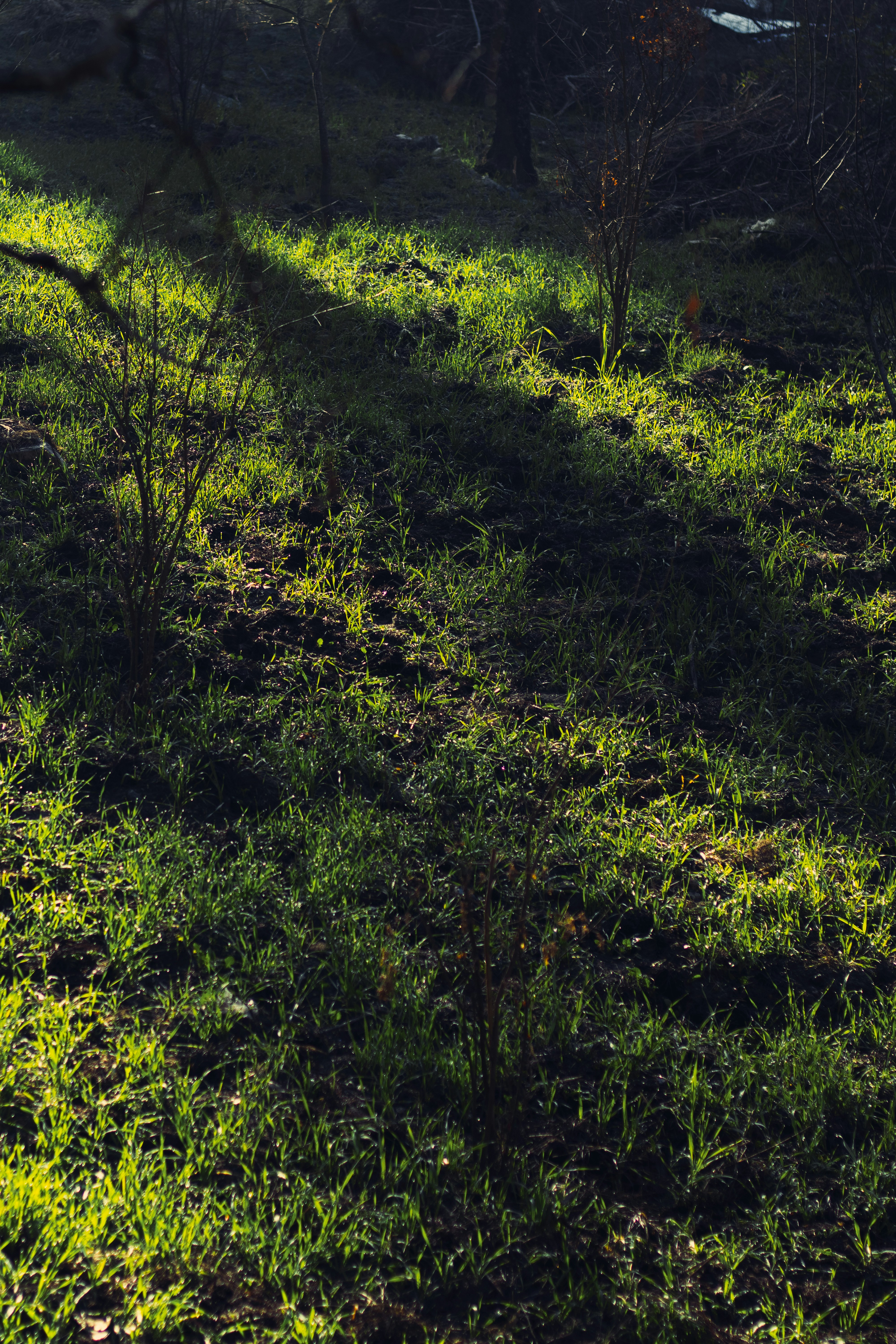 Photo by countingframez