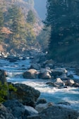 A scenic river flowing through a lush green forest in Kasol, Himachal Pradesh, with Himalayan views.