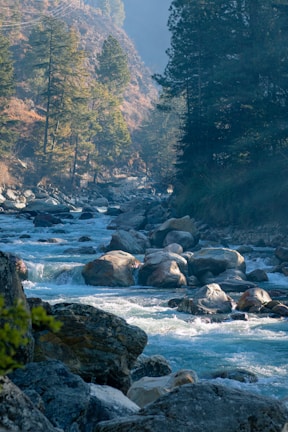 A scenic river flowing through a lush green forest in Kasol, Himachal Pradesh, with Himalayan views.