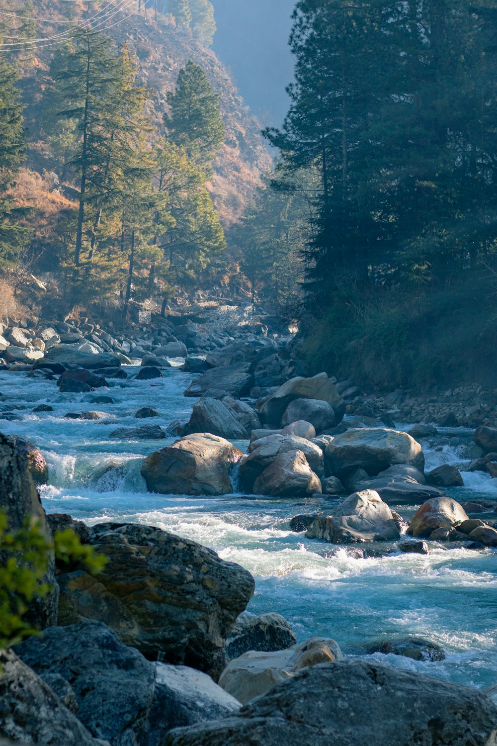 a river running through a forest filled with lots of rocks