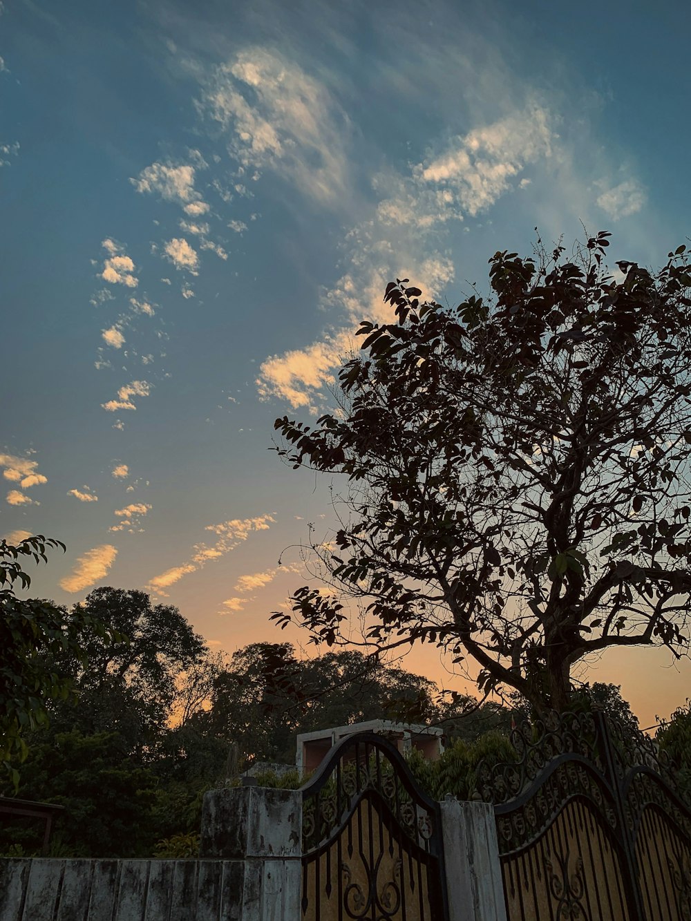 a gate and a tree in front of a sunset