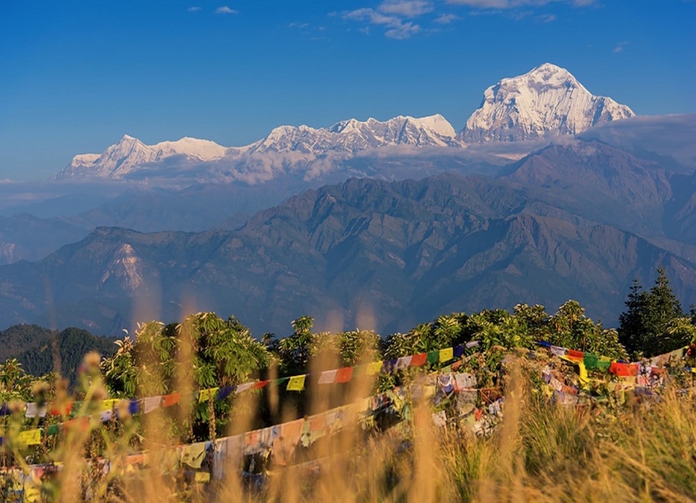 a view of a mountain range in the distance