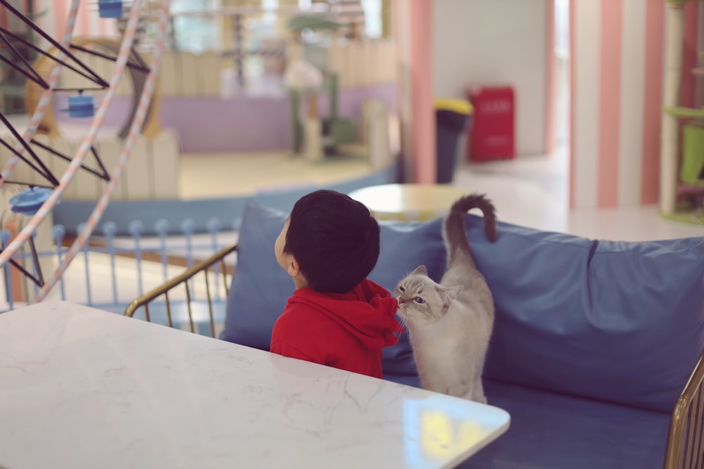 a little boy sitting on a blue couch next to a cat