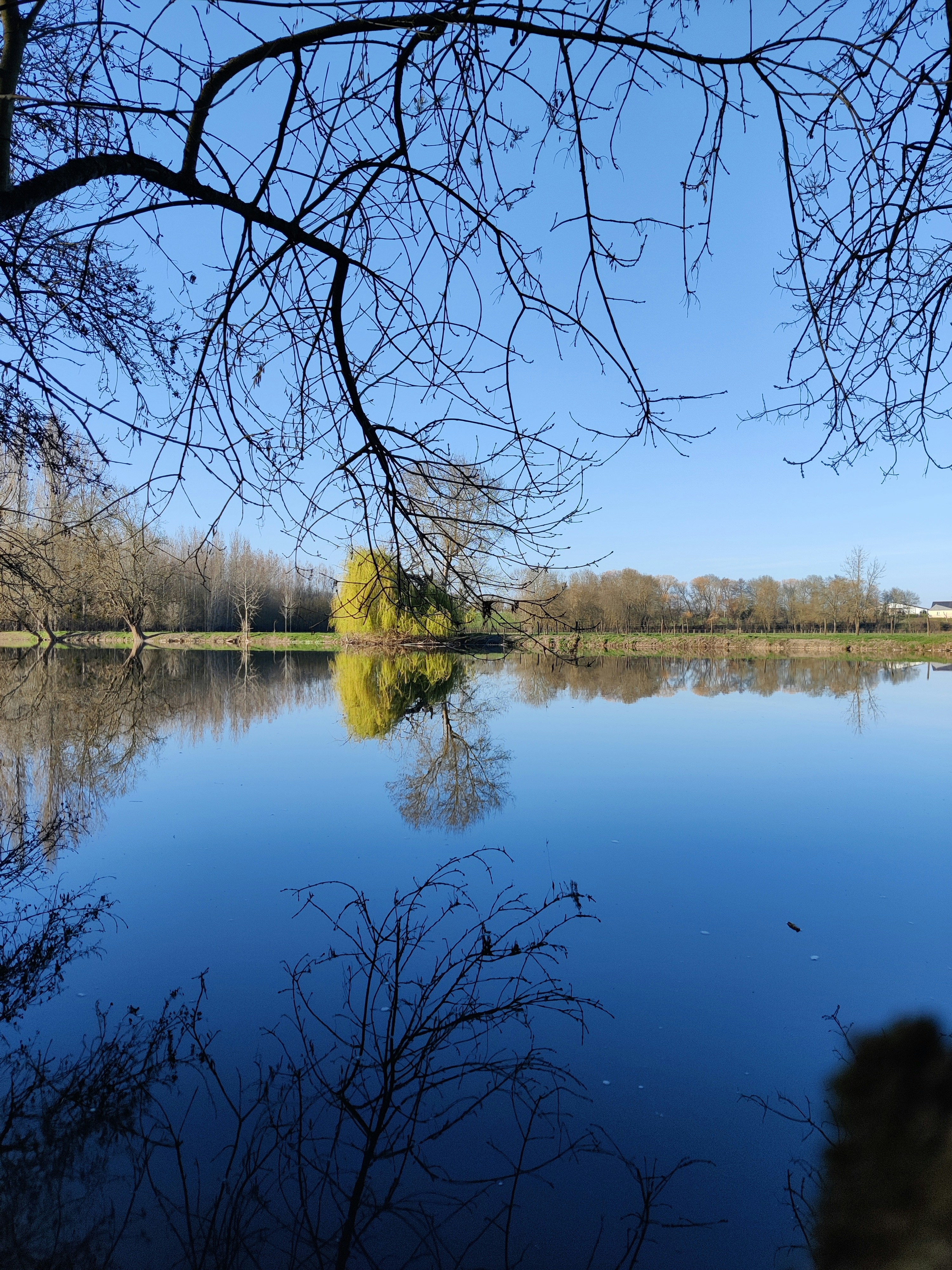 Photo by margaux_vzr