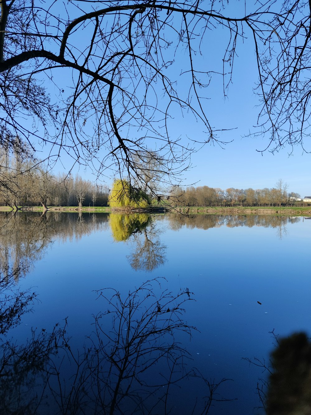 a large body of water surrounded by trees