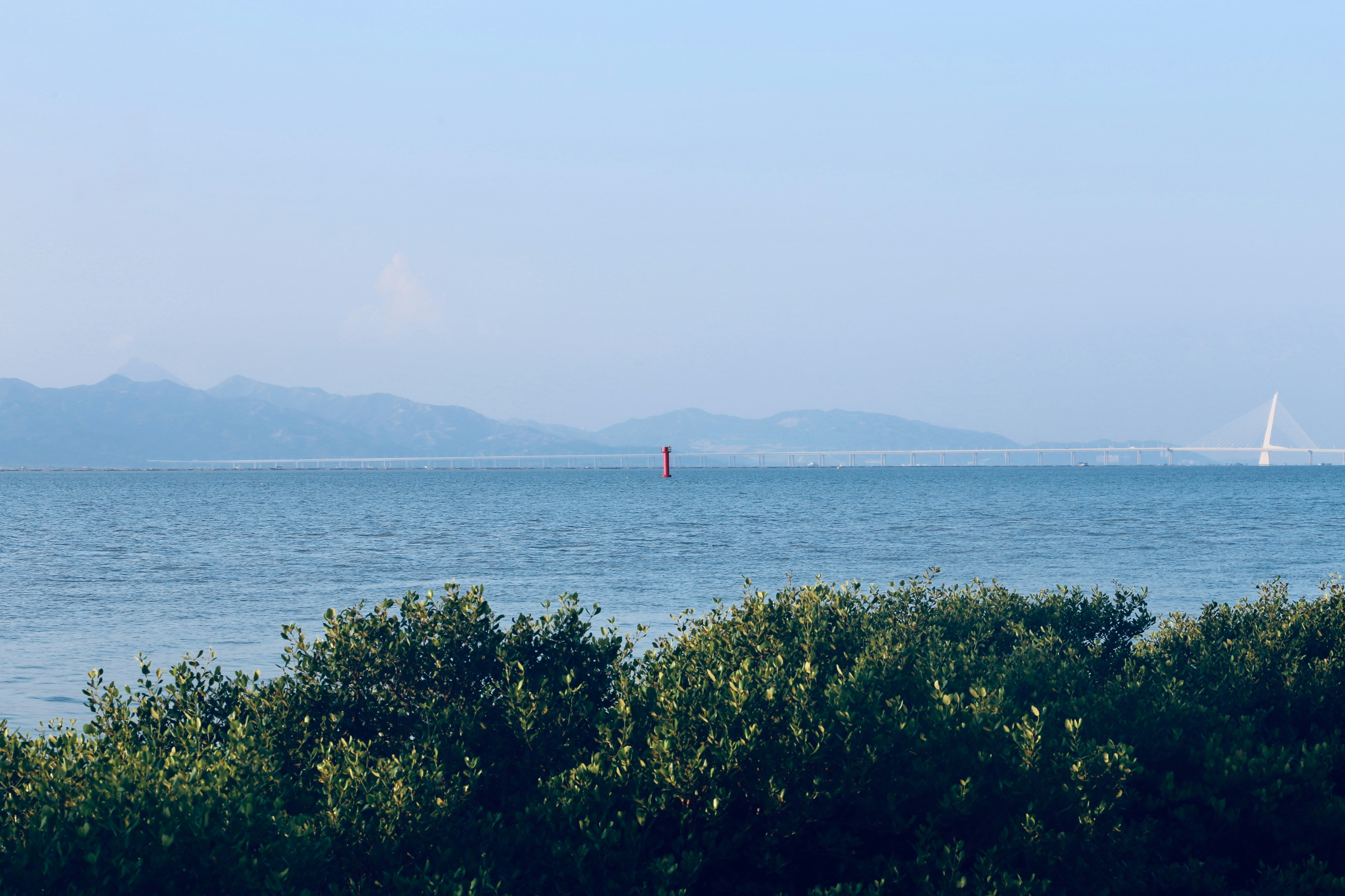 Photo by dickenslin76