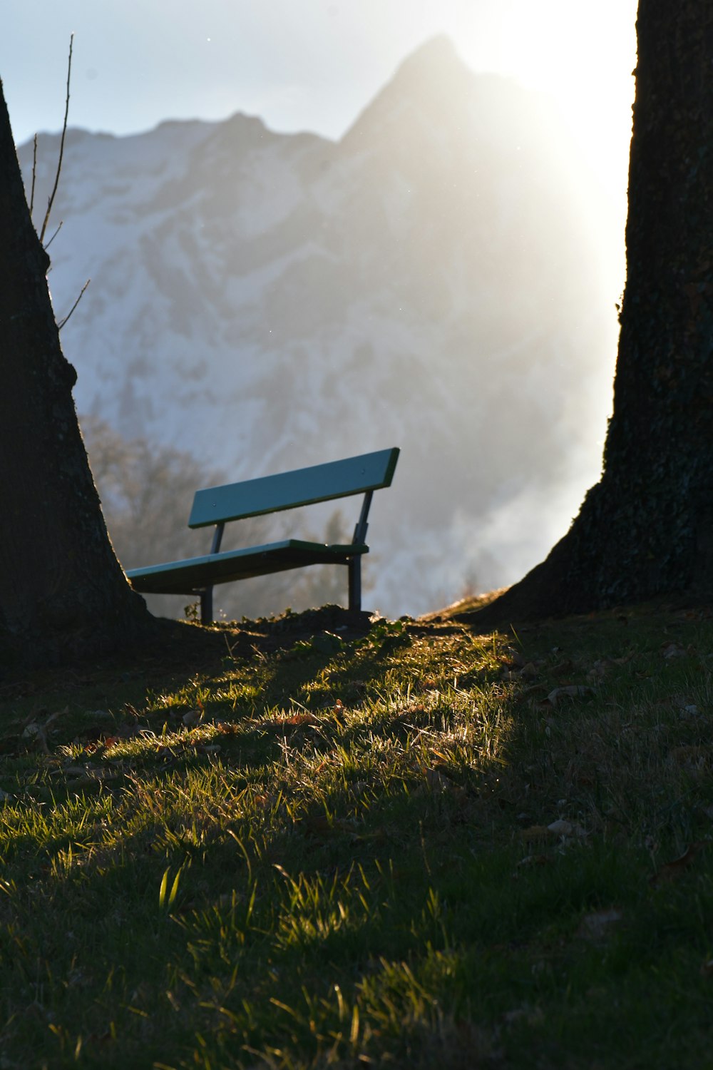 Eine Bank im Schatten eines Baumes