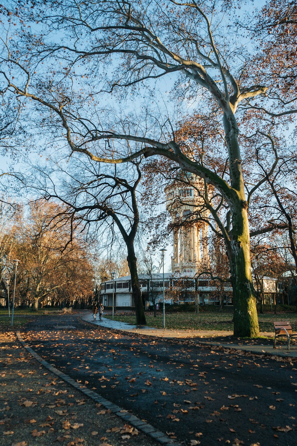 a park with trees and a building in the background