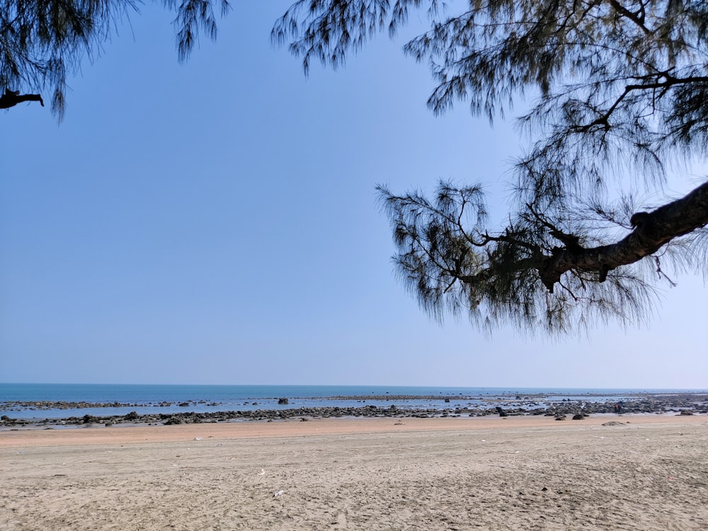 a view of the ocean from a sandy beach