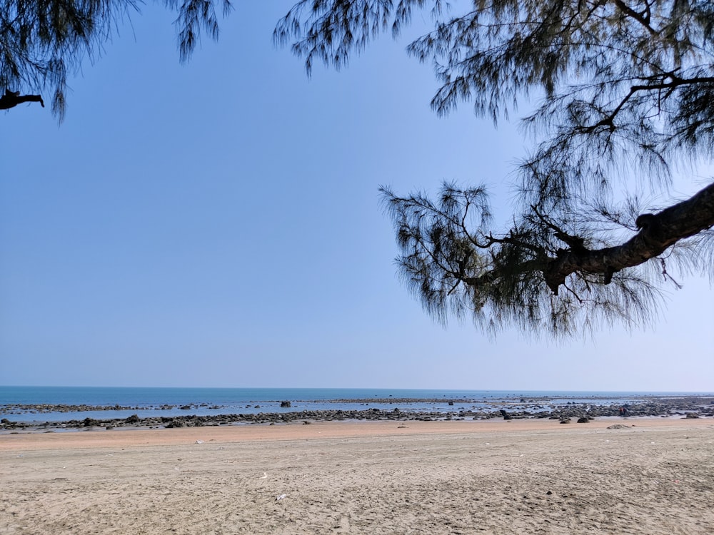 uma vista do oceano a partir de uma praia de areia