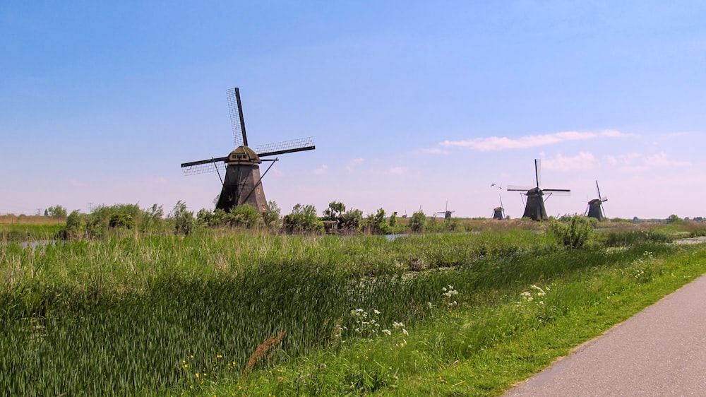 three windmills in a grassy field next to a road