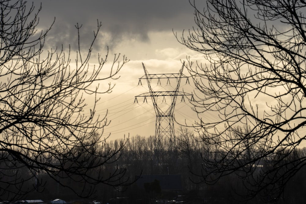 a view of a power line through some trees