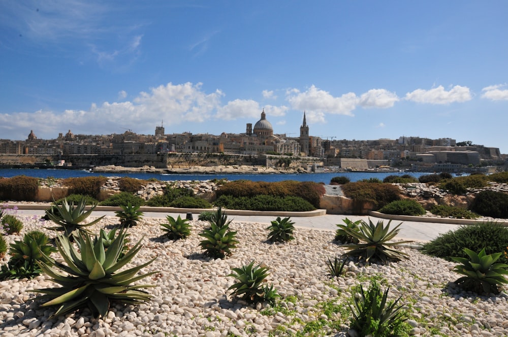 a view of a city with a lake in the foreground