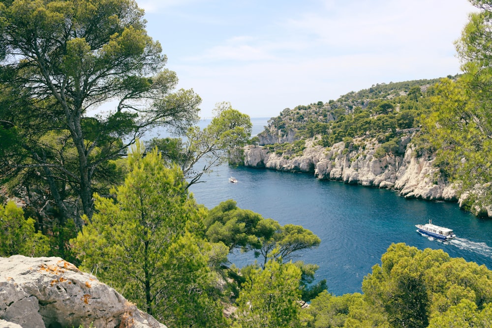 Una barca che viaggia lungo un fiume circondata da alberi