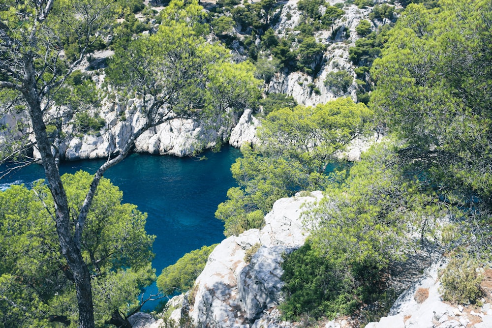 a blue lake surrounded by trees and rocks
