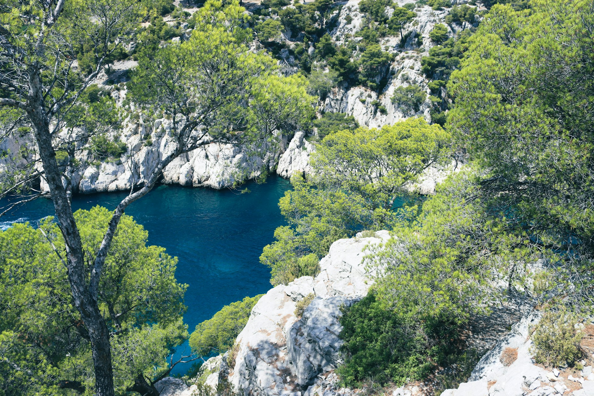 a blue lake surrounded by trees and rocks