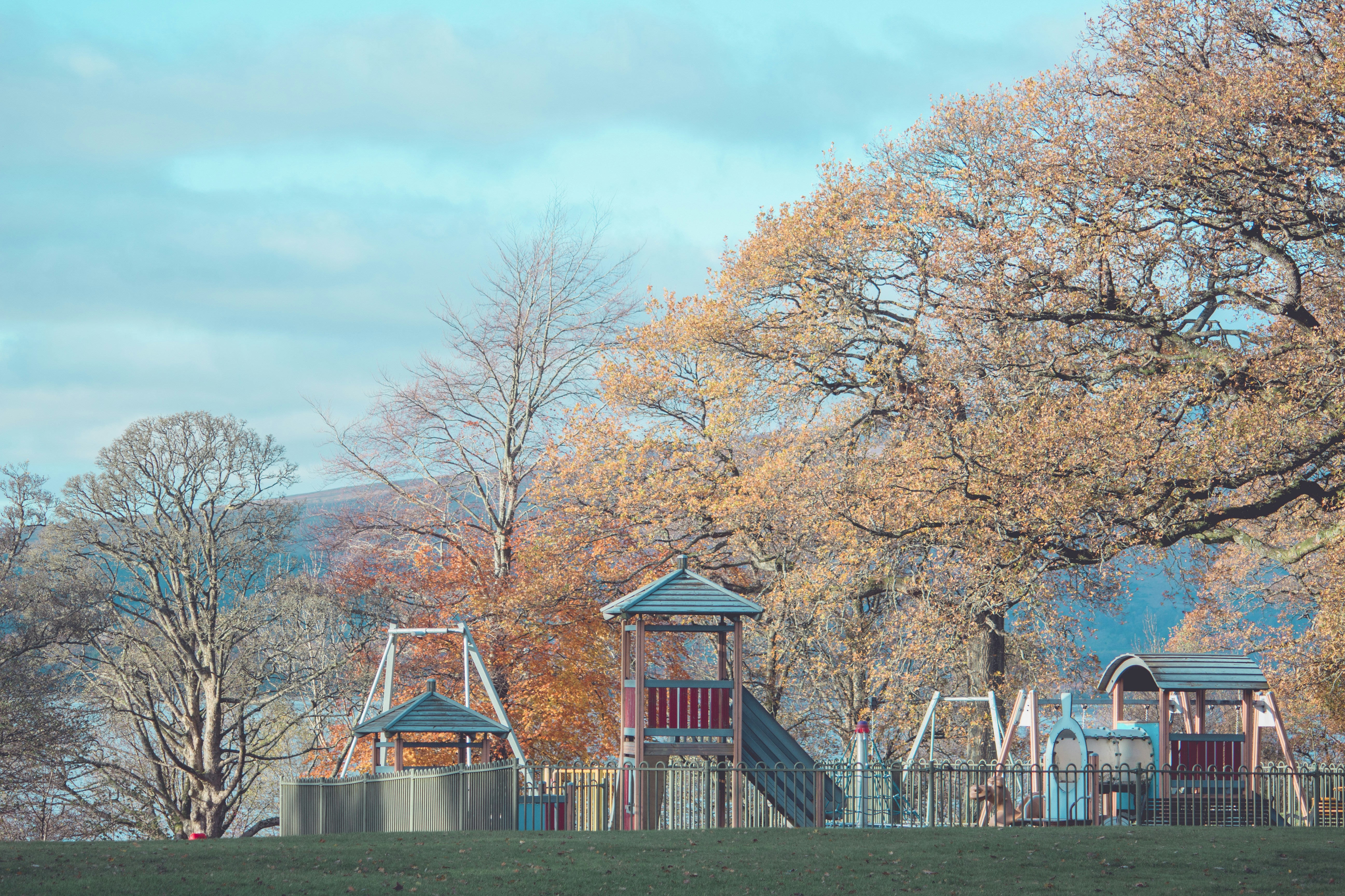 Photo by rosetta_stoner