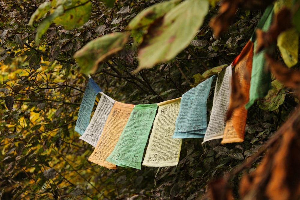 a row of multicolored papers hanging from a tree