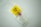 A biohazard specimen bag contains a swab and a test cassette for rapid testing. The bag is transparent with a vivid yellow label featuring a biohazard symbol.