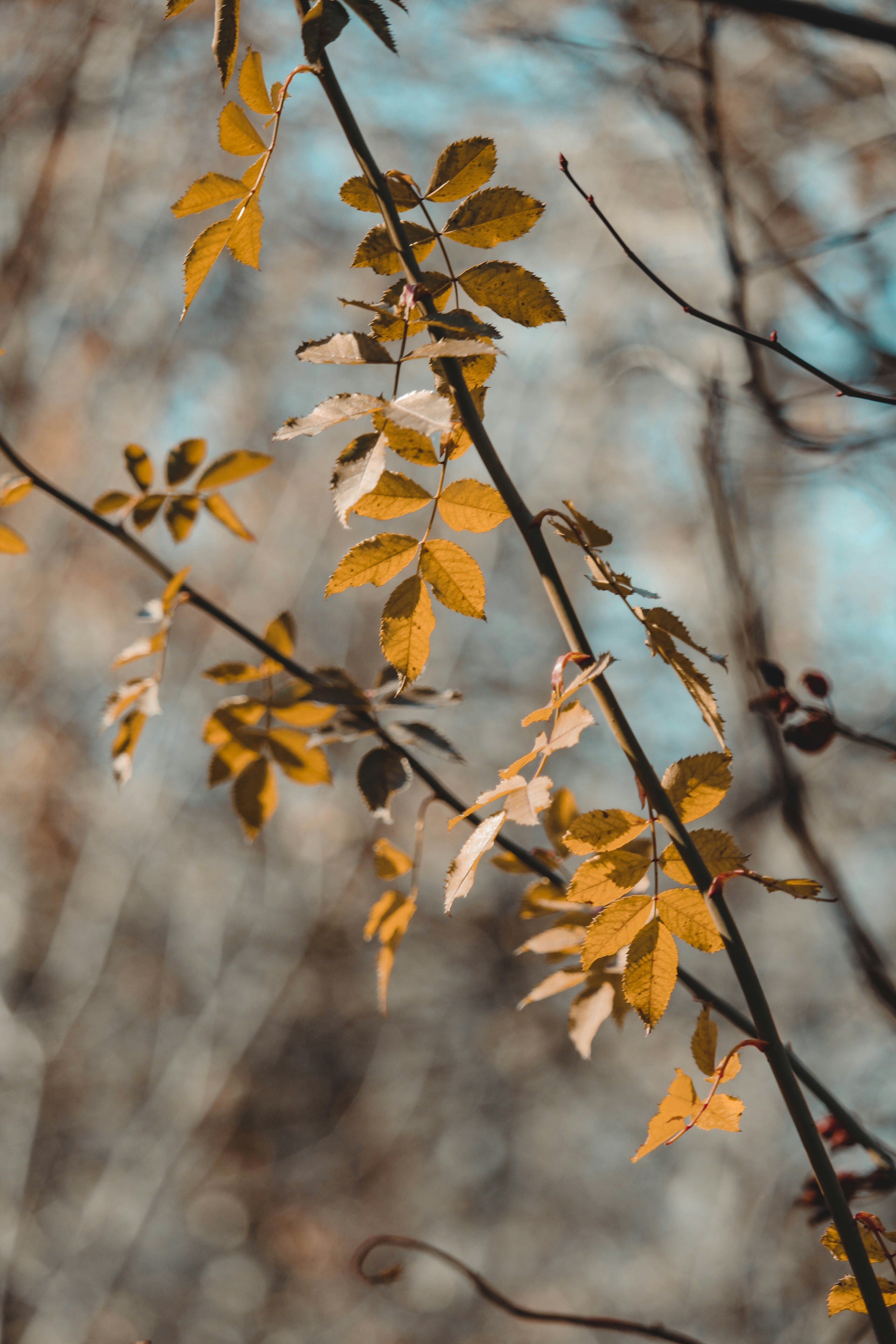 Photo by negaradhami