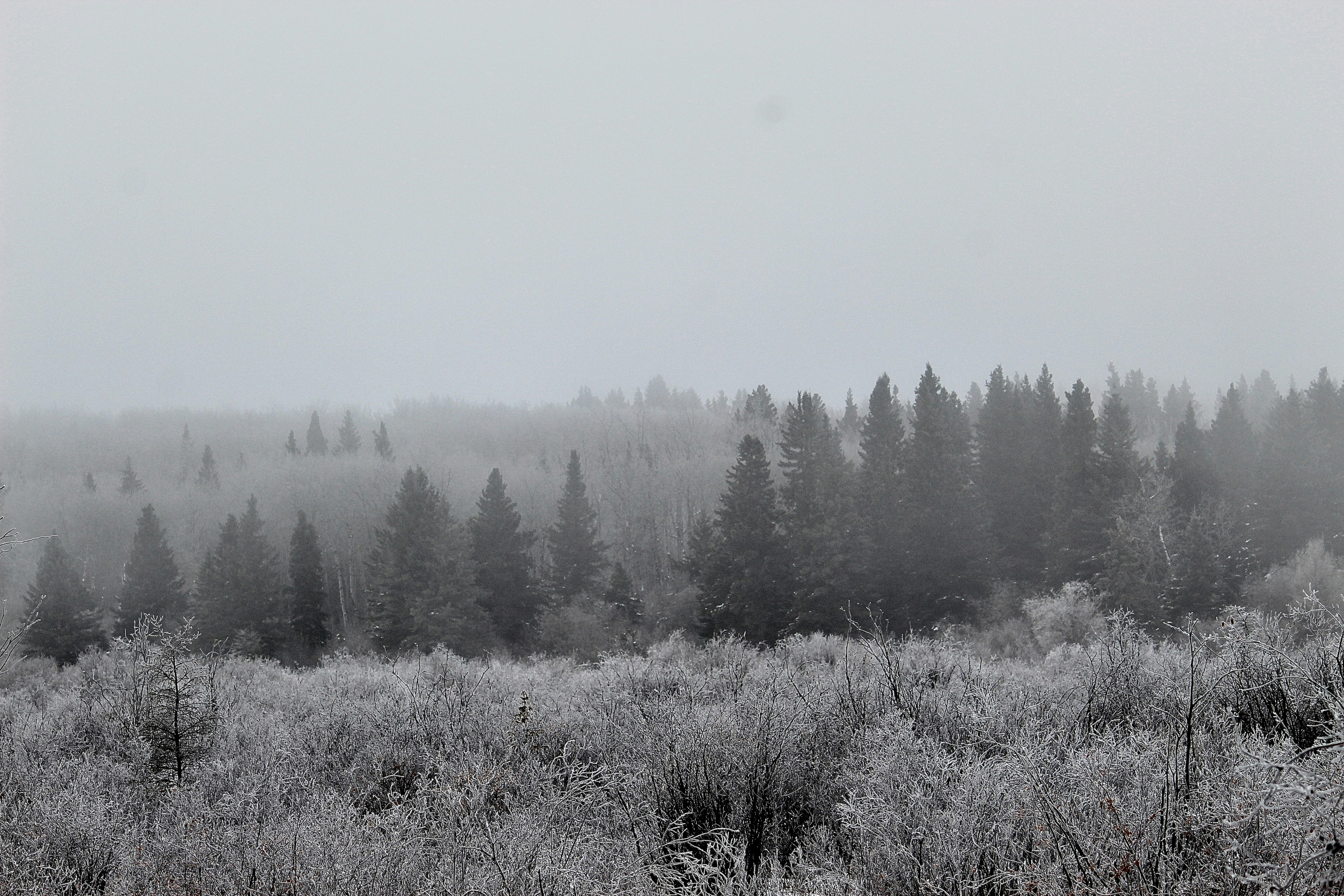 Photo by priyatham_alluri