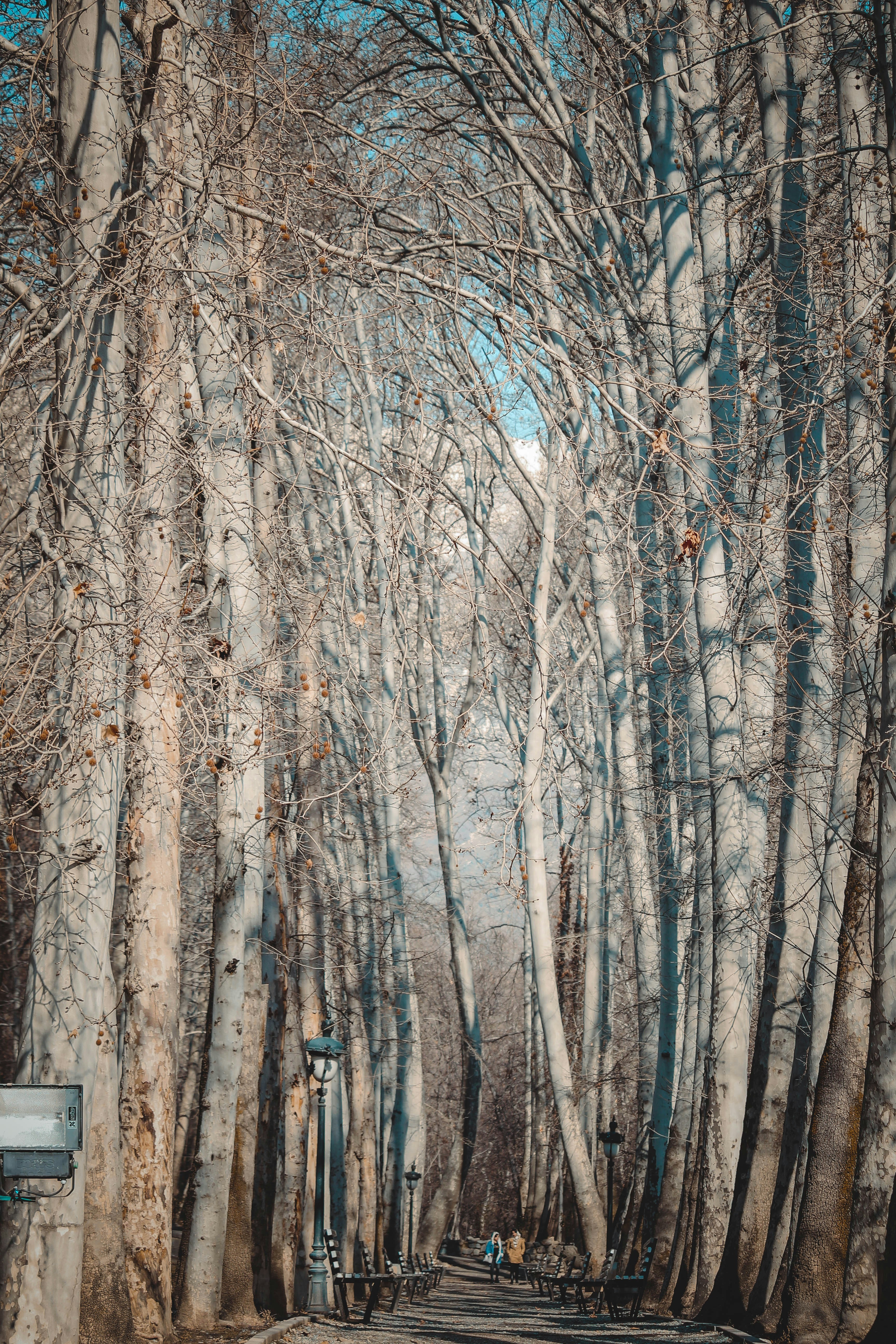 Photo by negaradhami