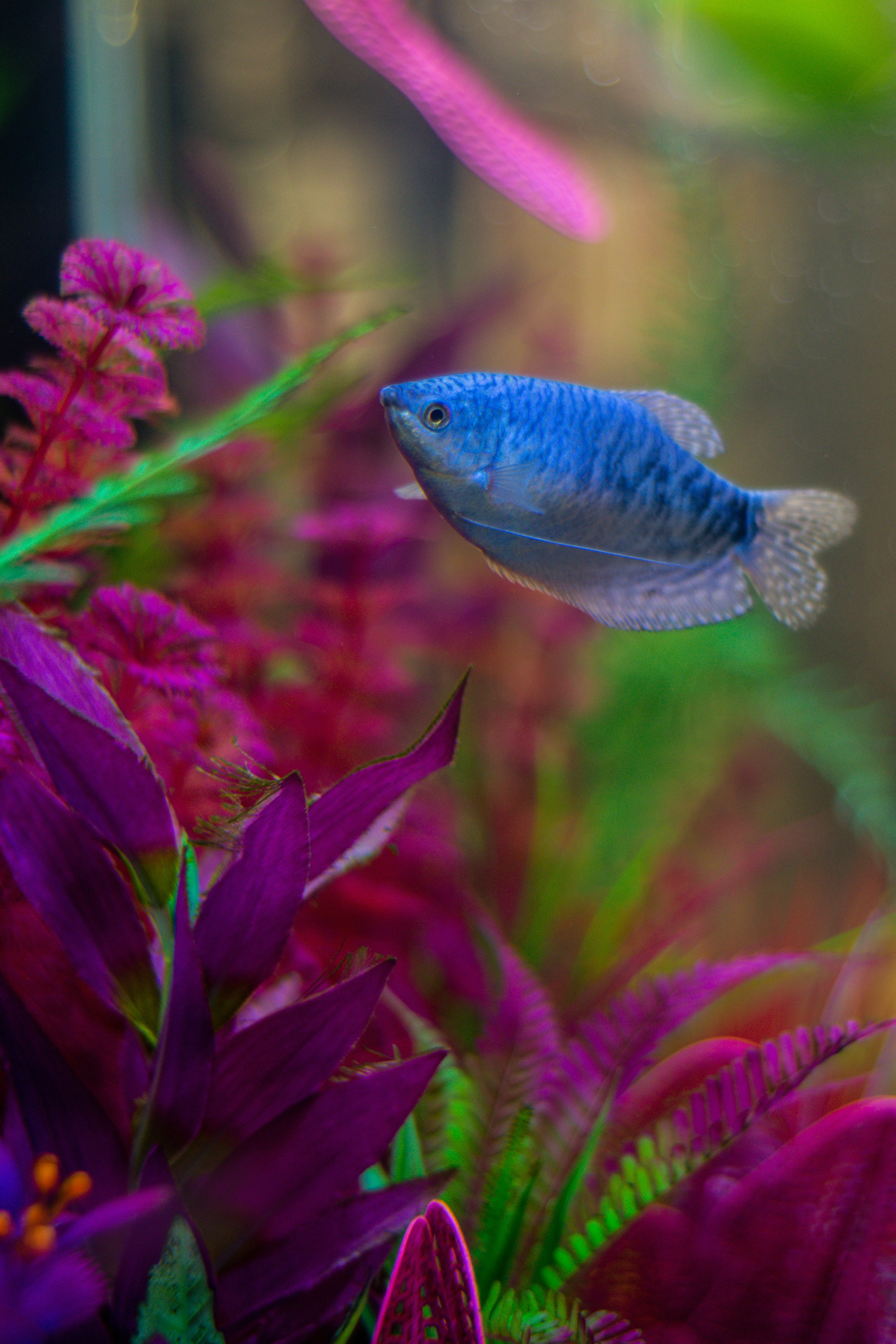 Photo by crissymarie