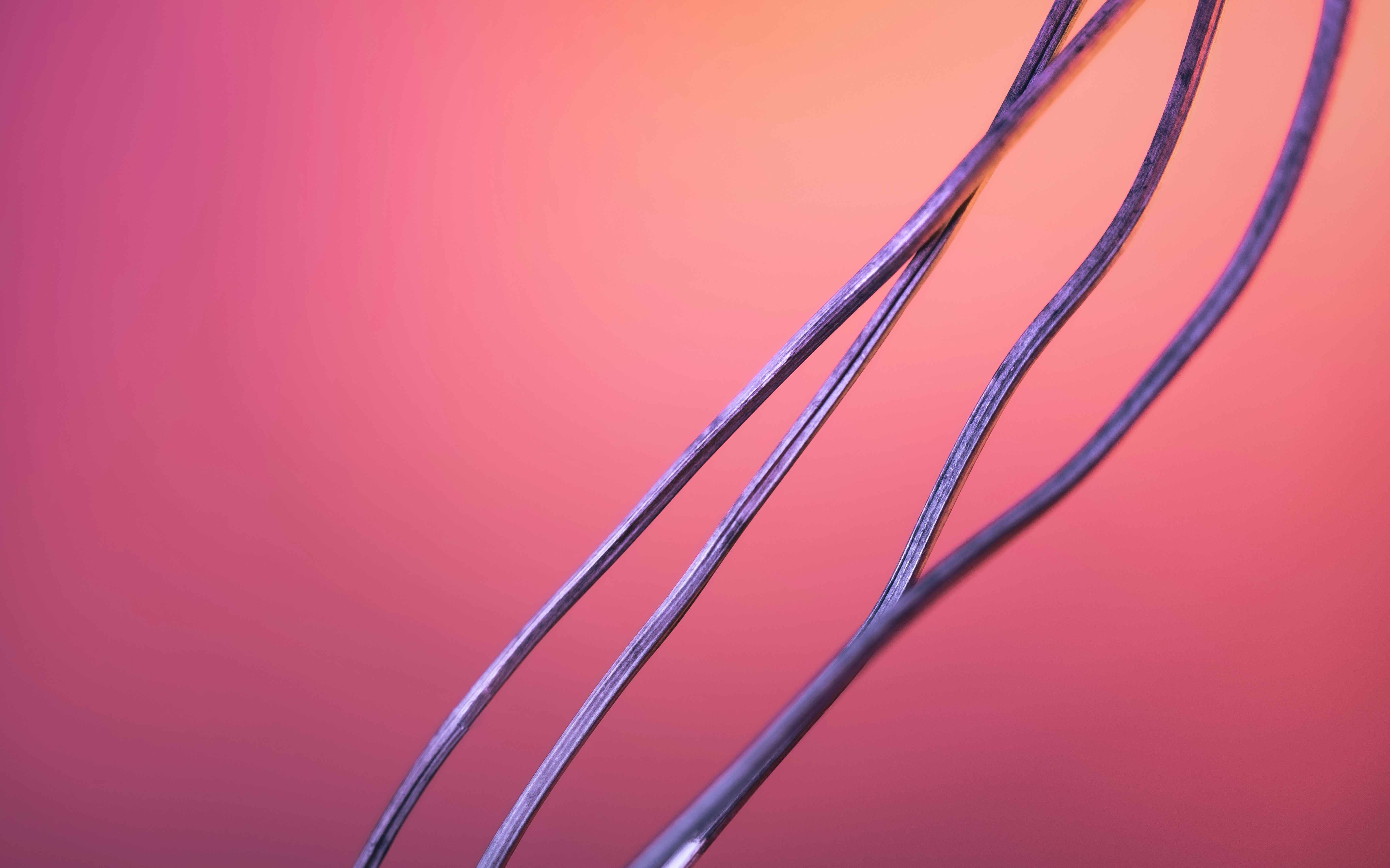 Photo by marekpiwnicki