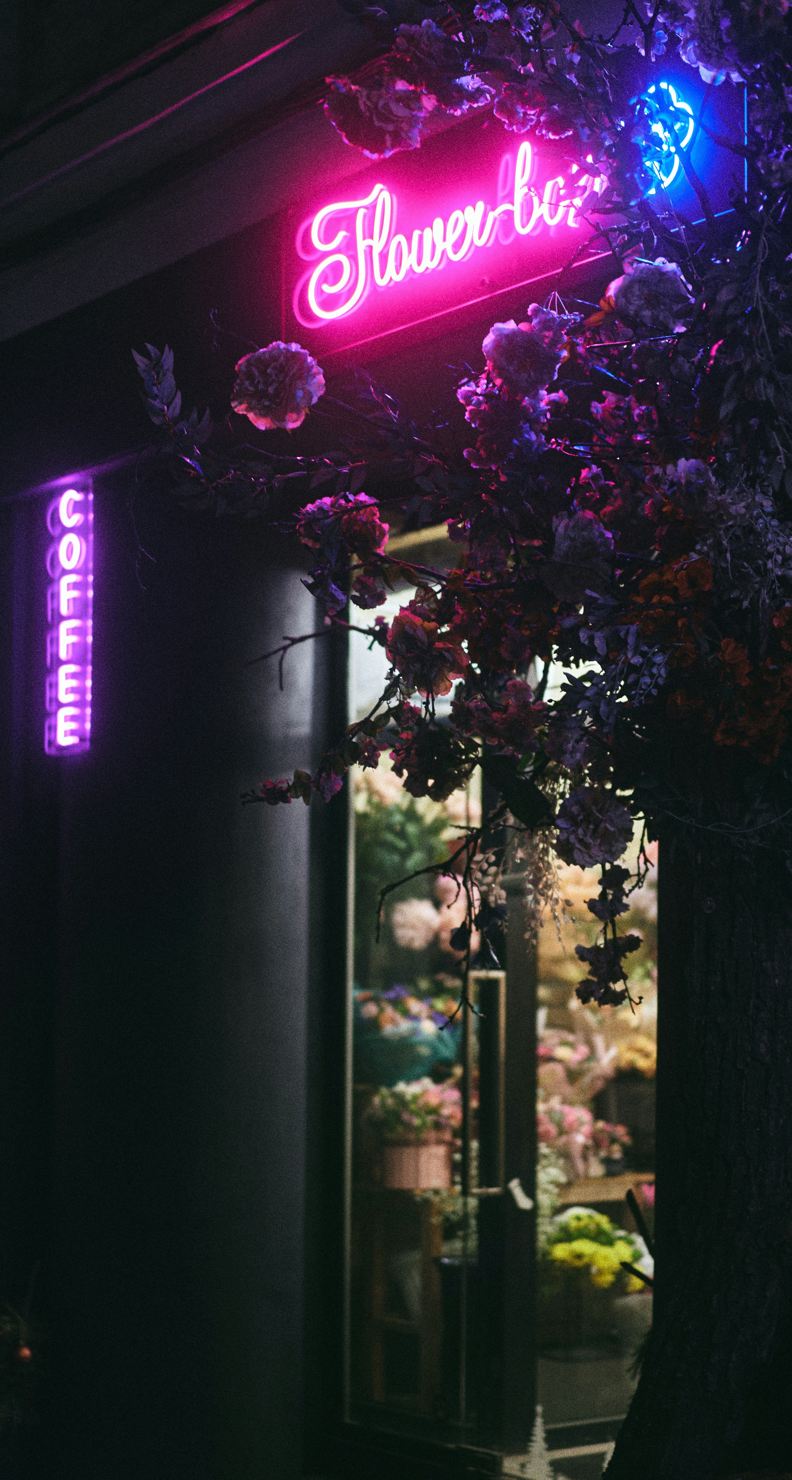 Photo by wonderland8