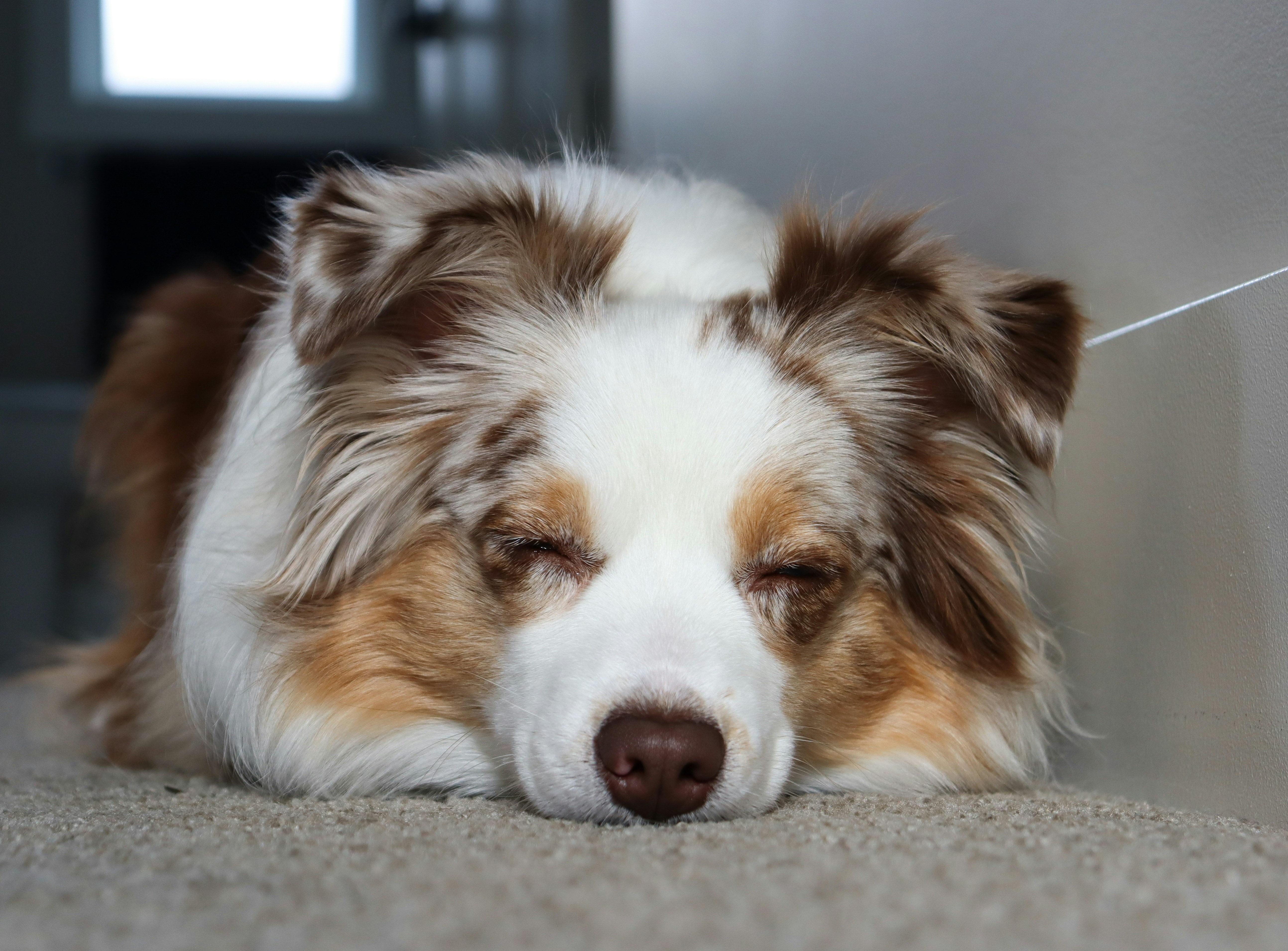 Photo by theredmerle