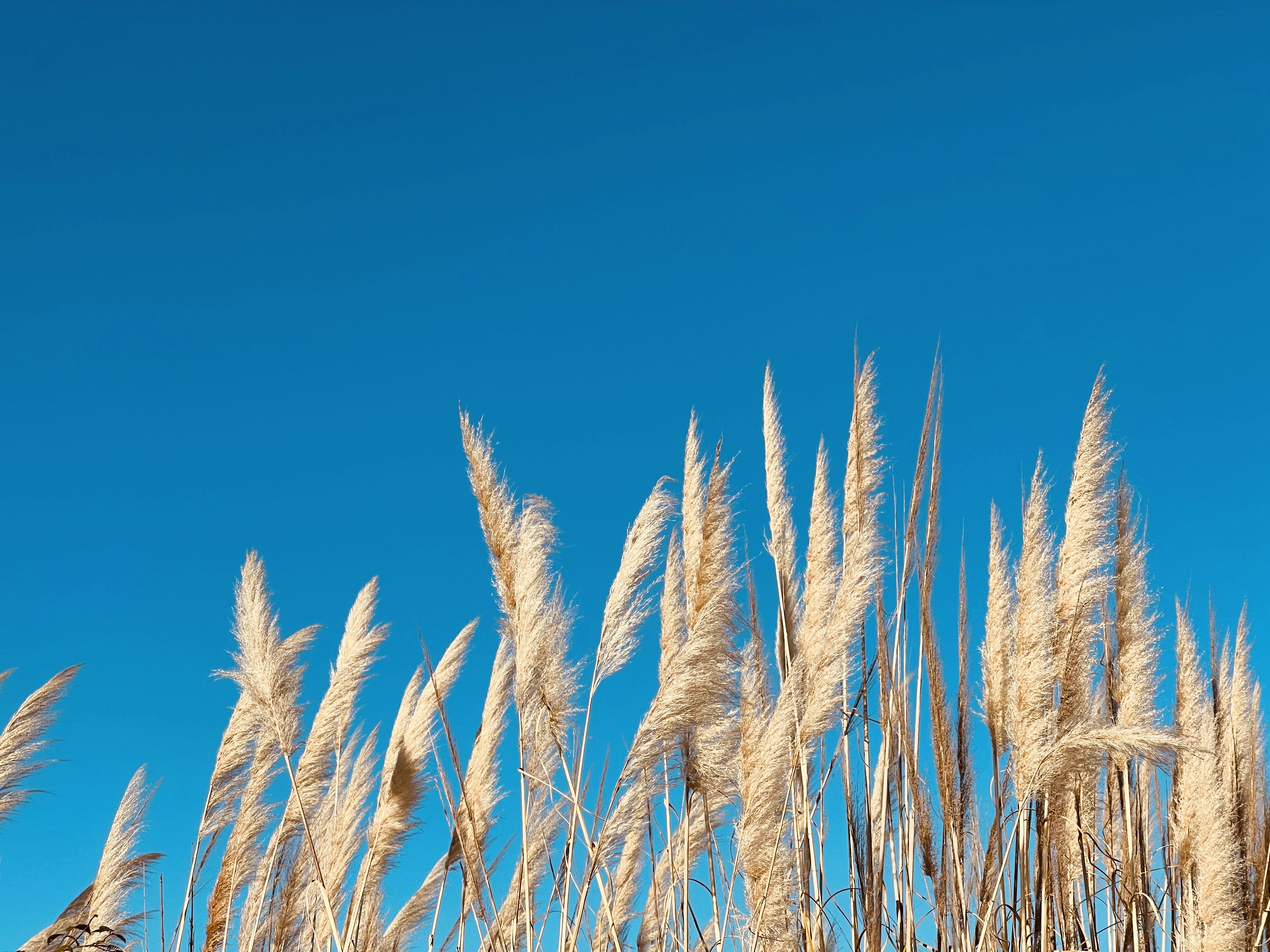 Photo by _jeremiah85_