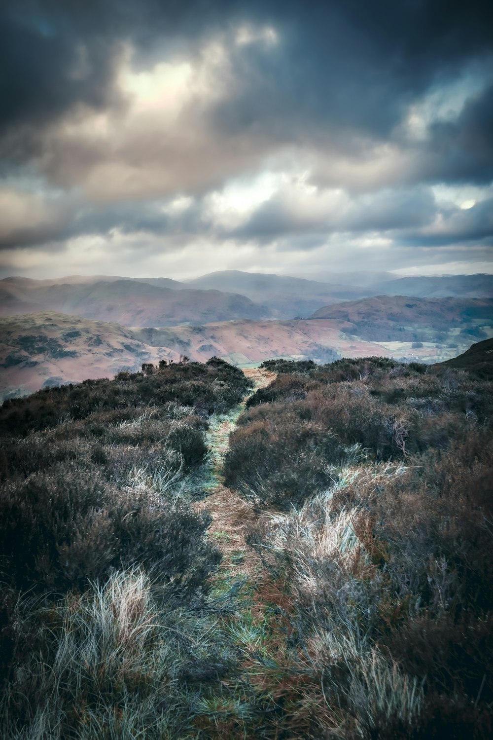 a path in the middle of a field with mountains in the background