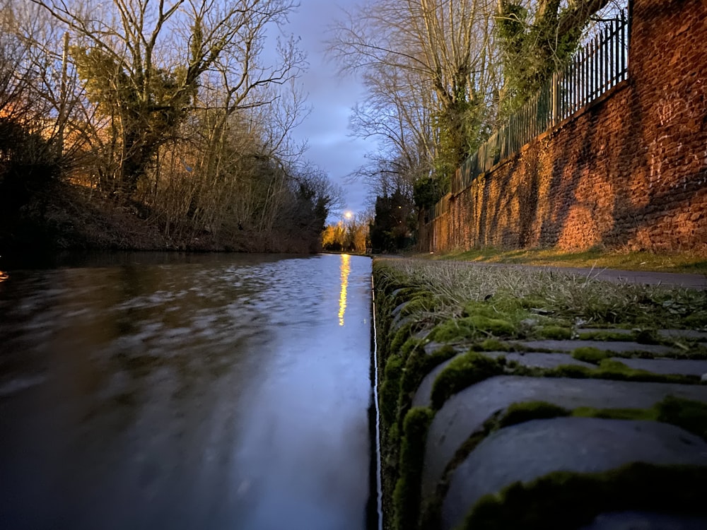 a river running through a lush green forest