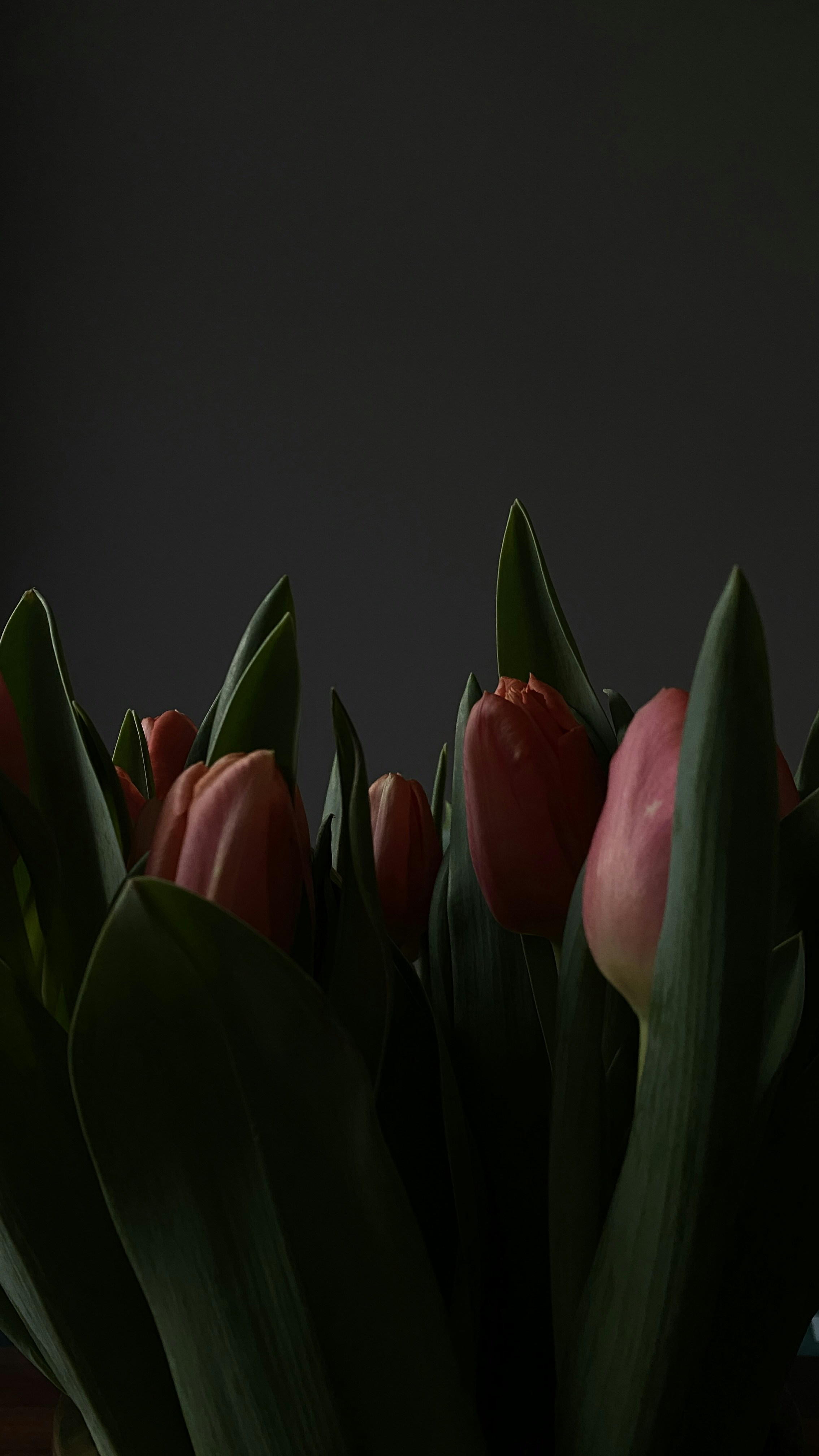 Photo by filipp_roman_photography