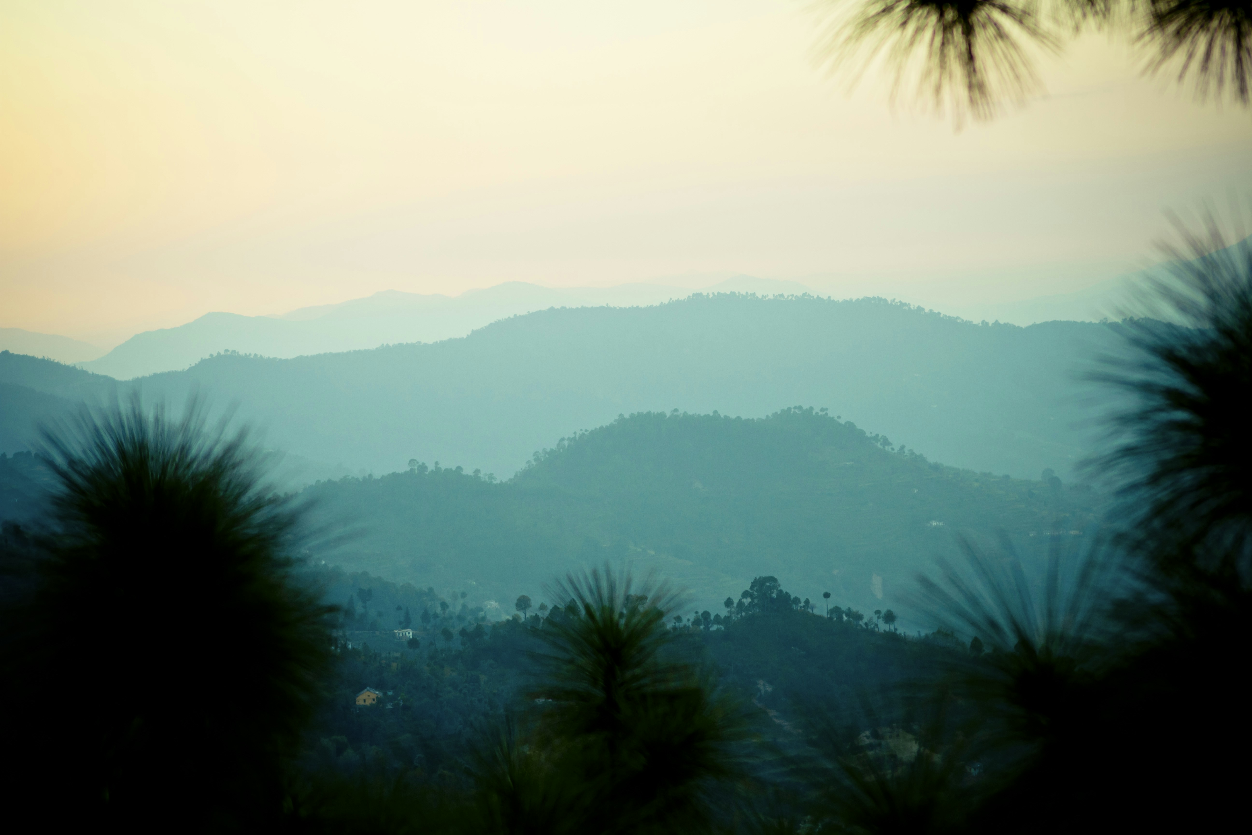 Photo by raimondklavins