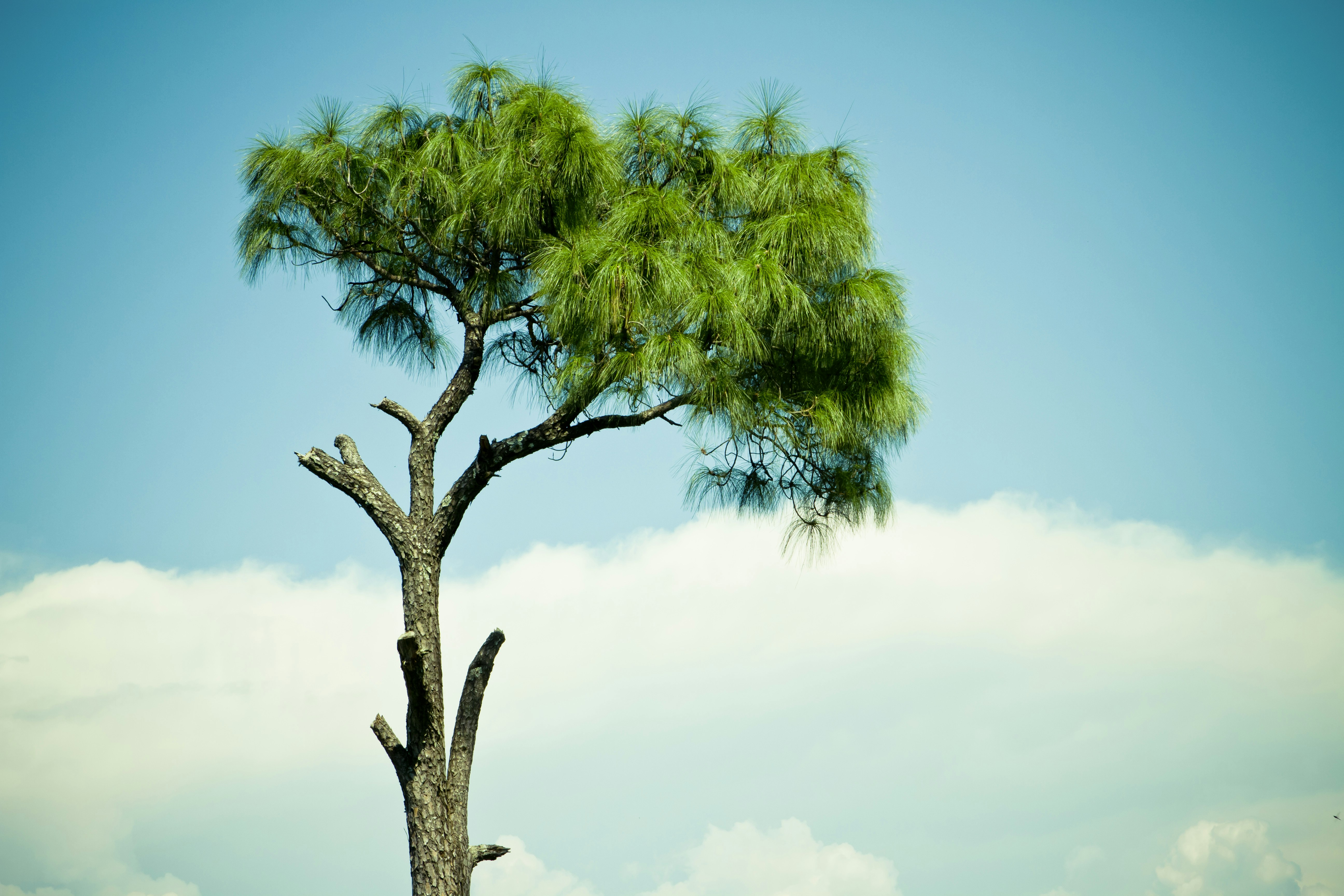 Photo by raimondklavins