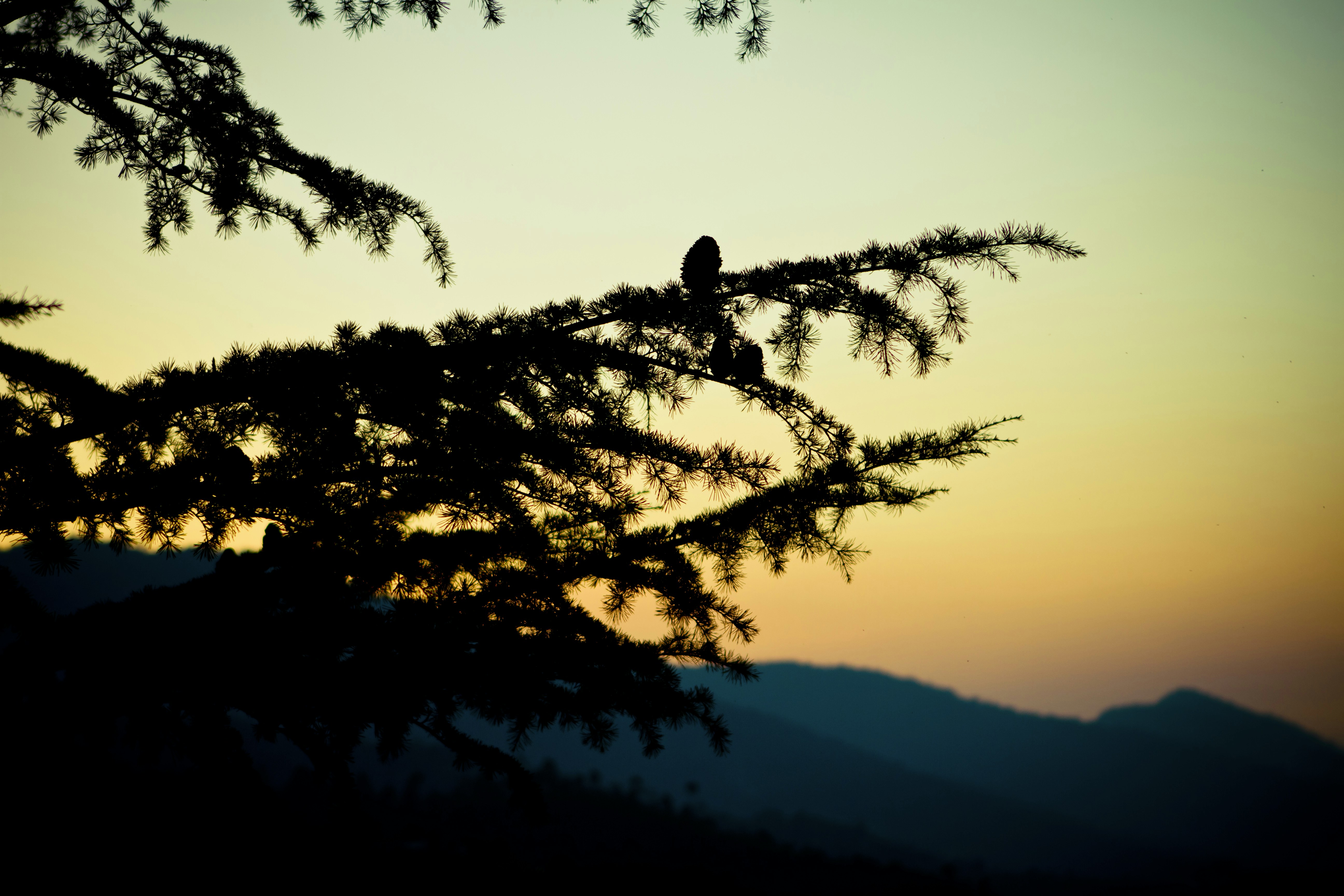 Photo by raimondklavins