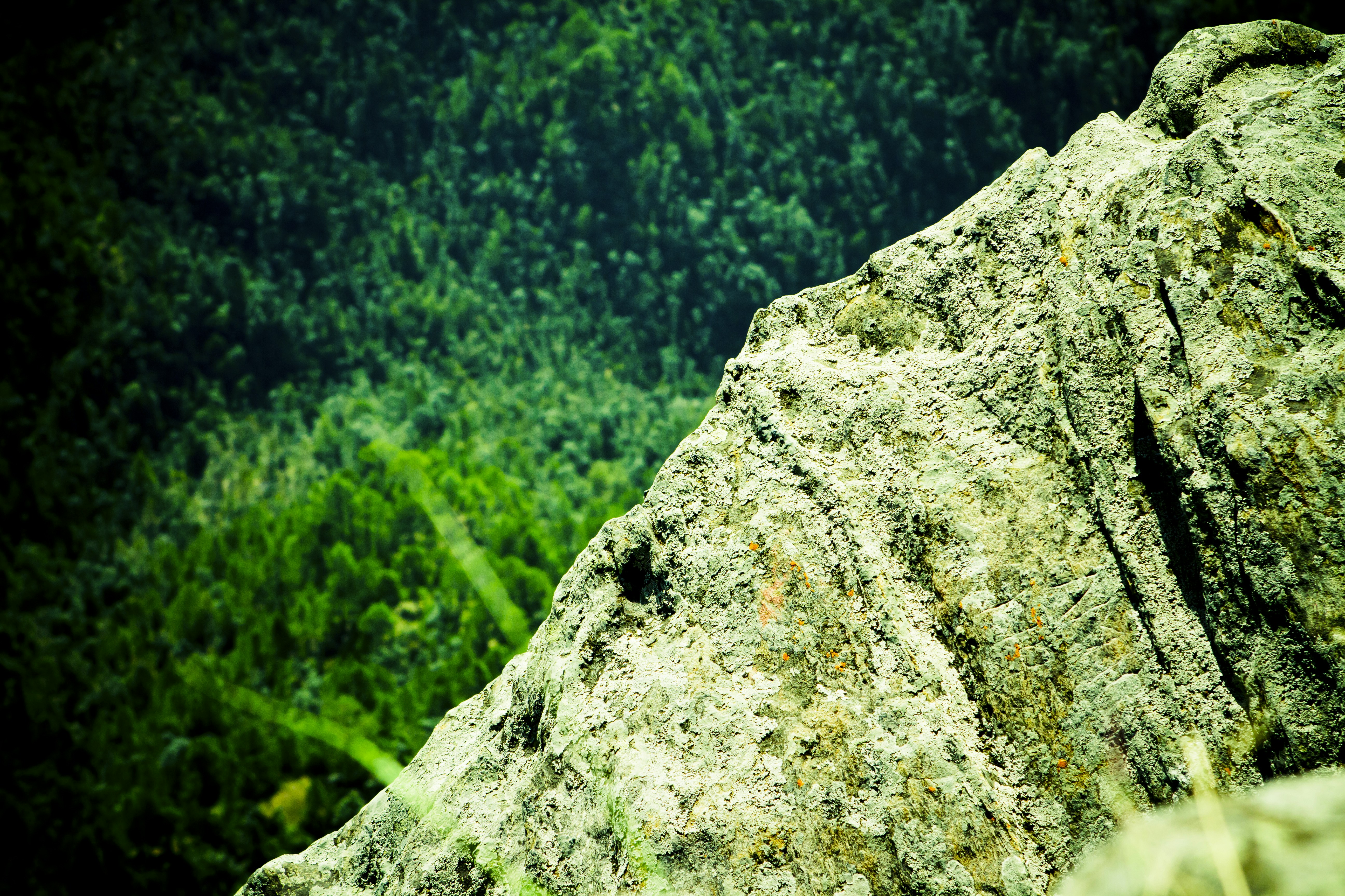 Photo by raimondklavins