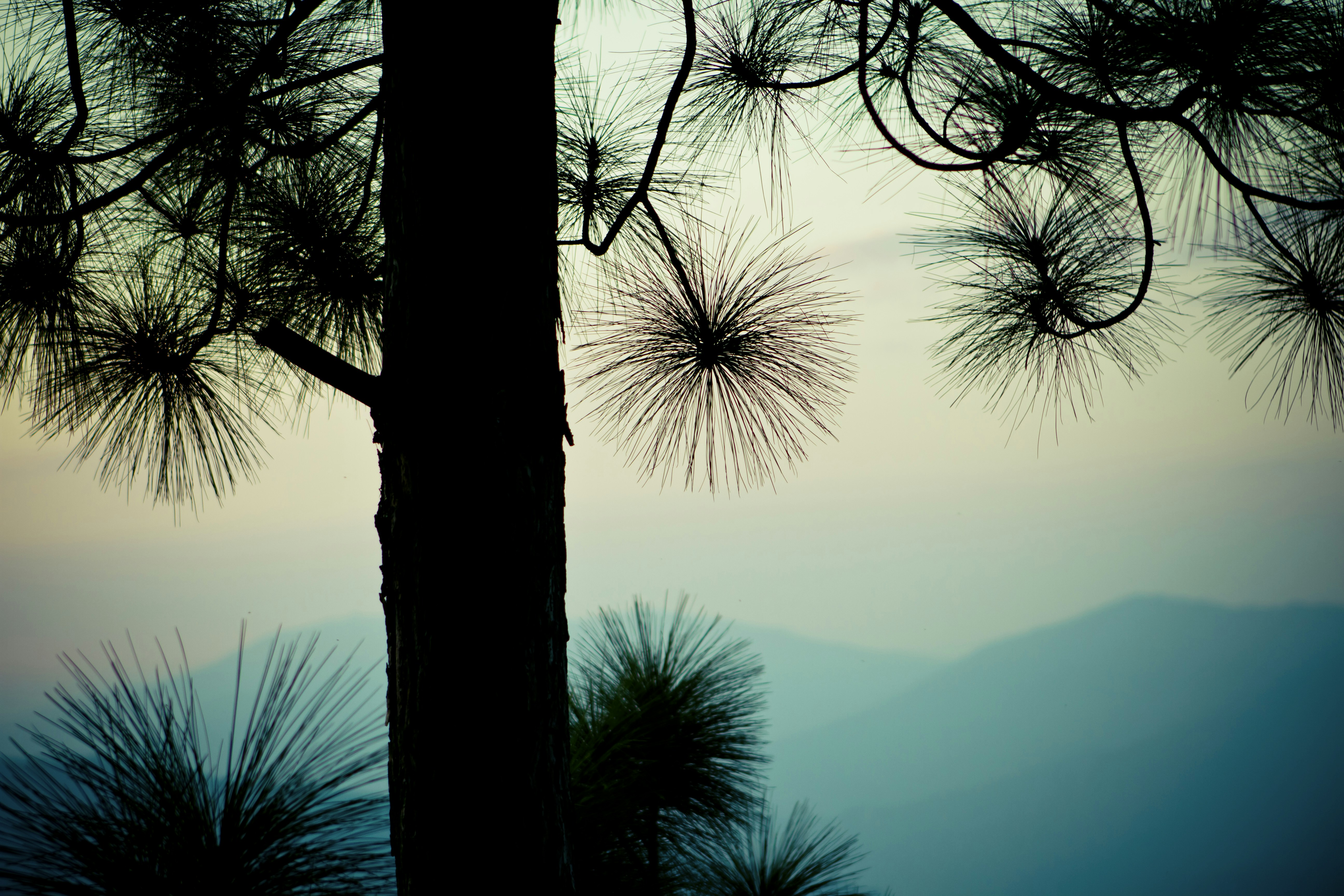 Photo by raimondklavins