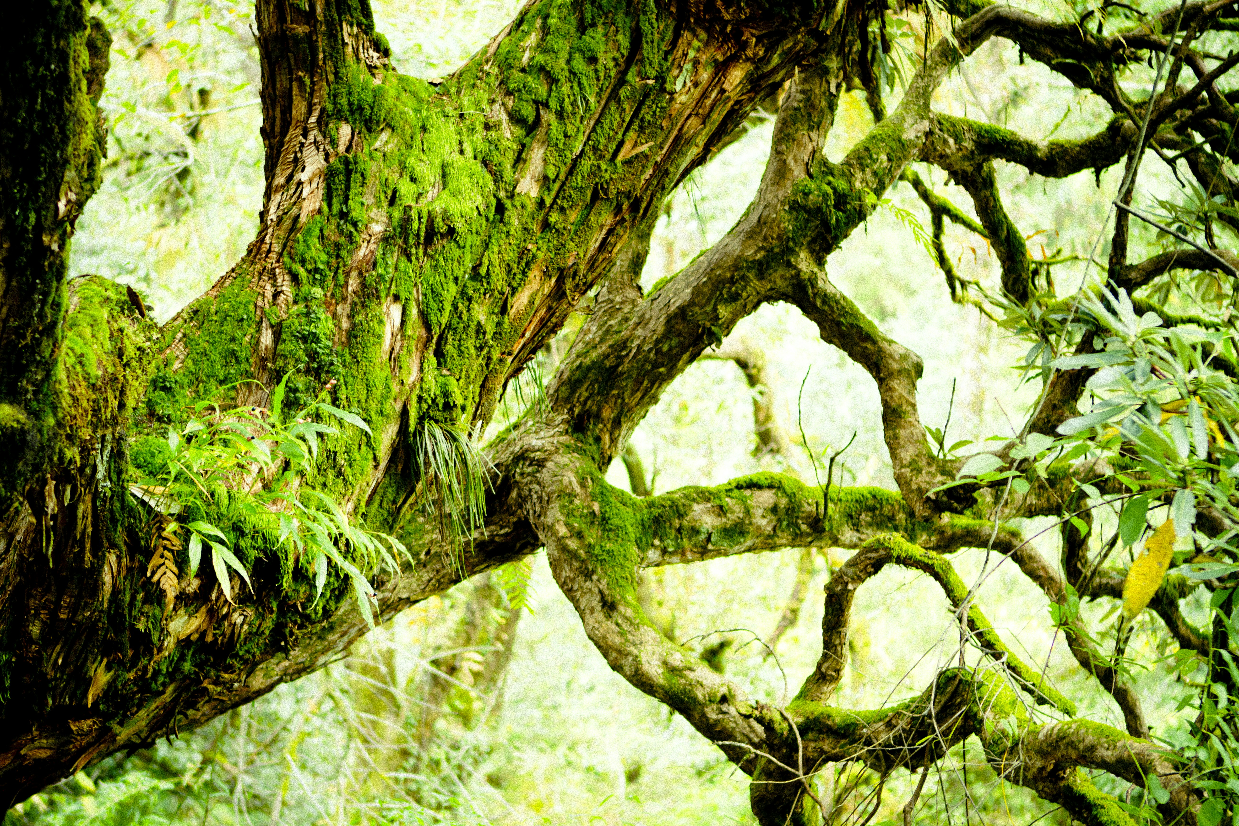 Photo by raimondklavins