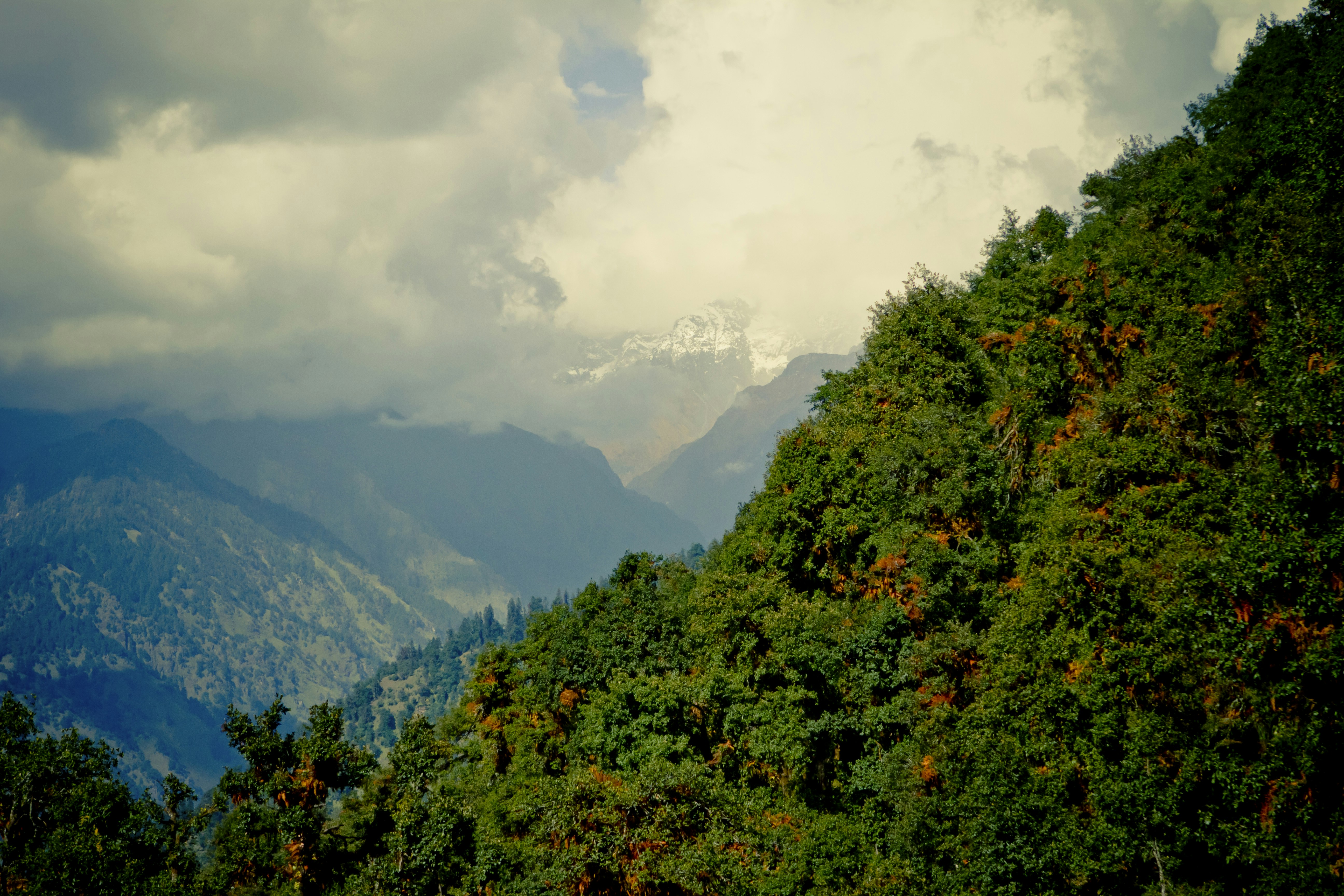 Photo by raimondklavins