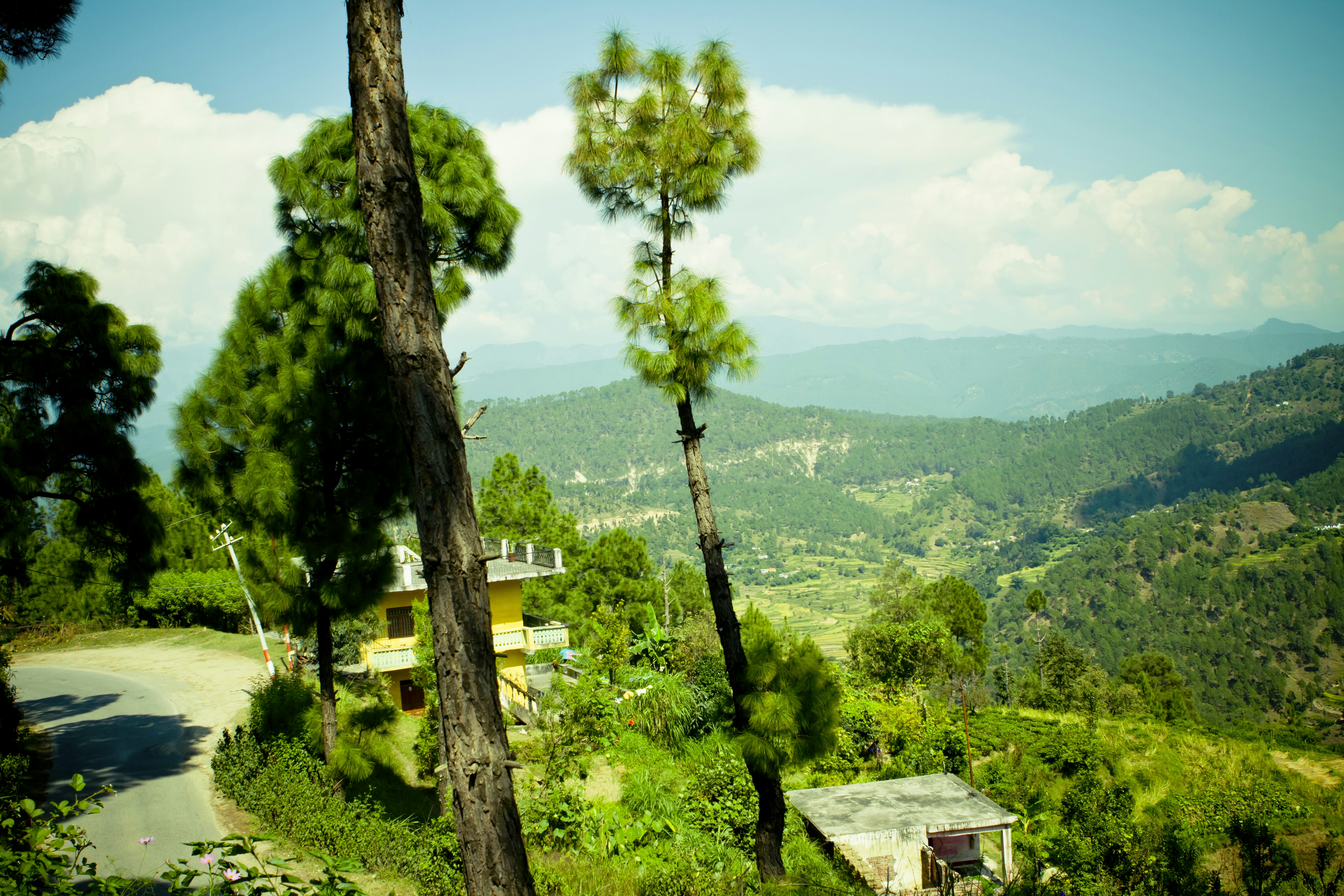 Photo by raimondklavins