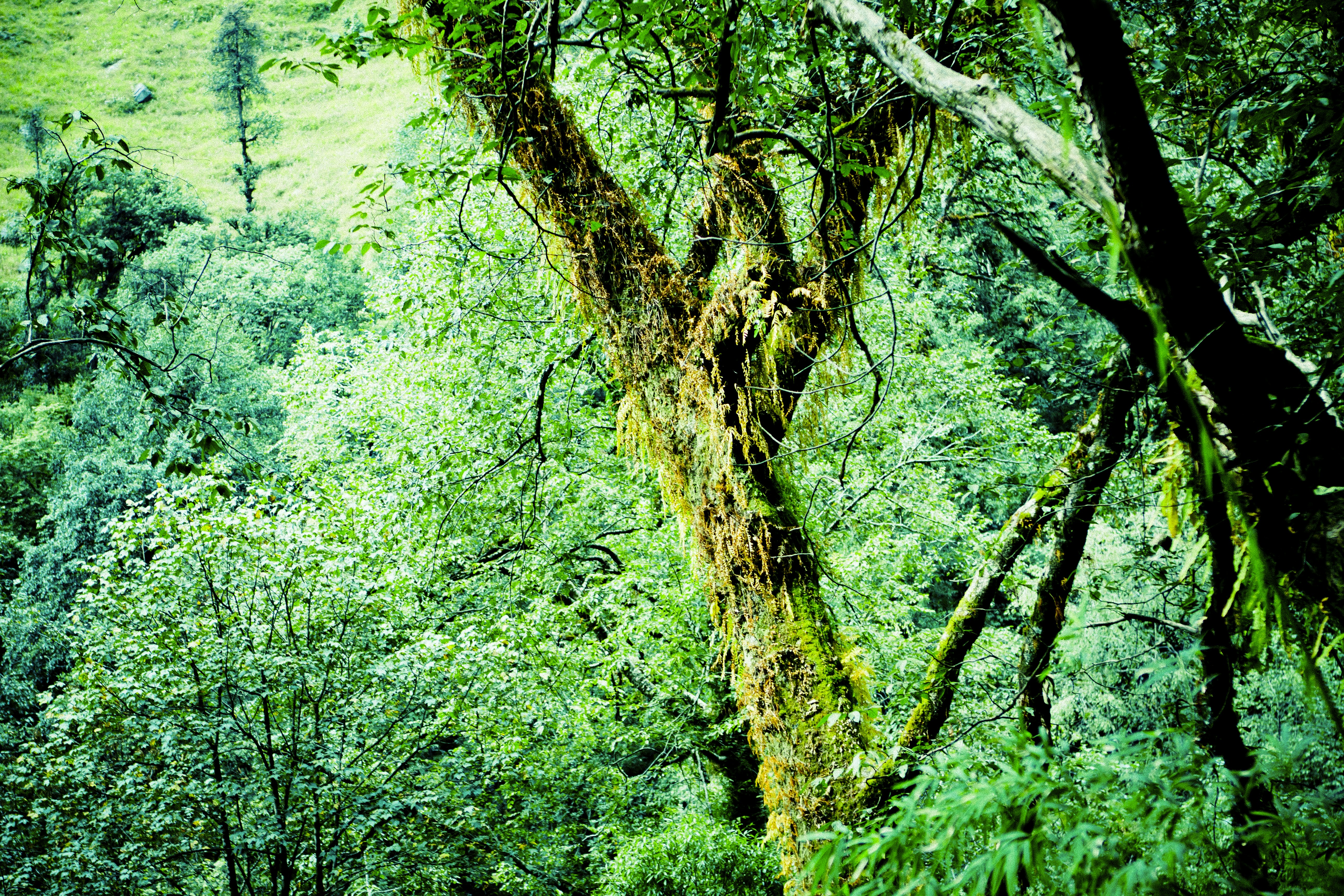 Photo by raimondklavins