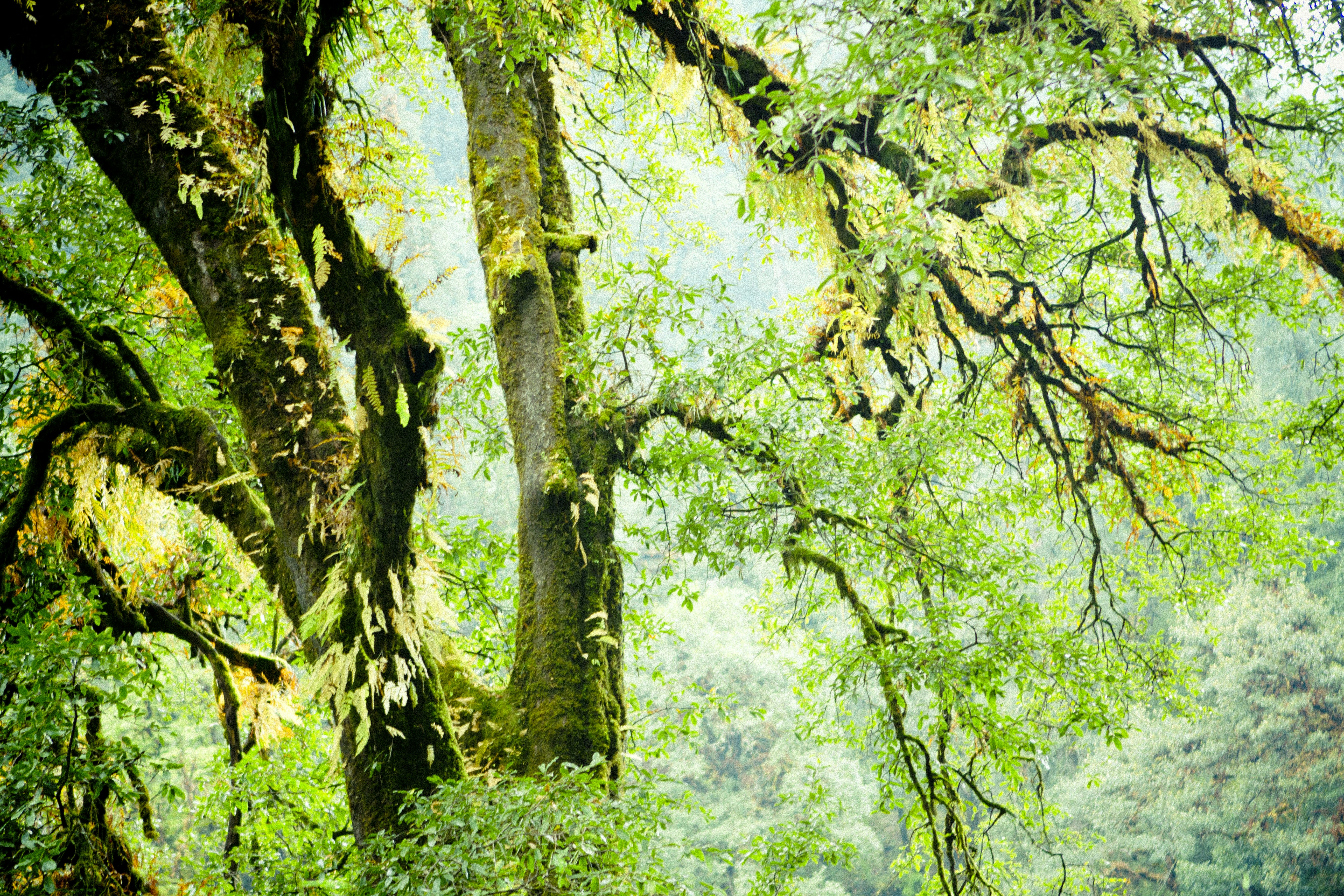 Photo by raimondklavins